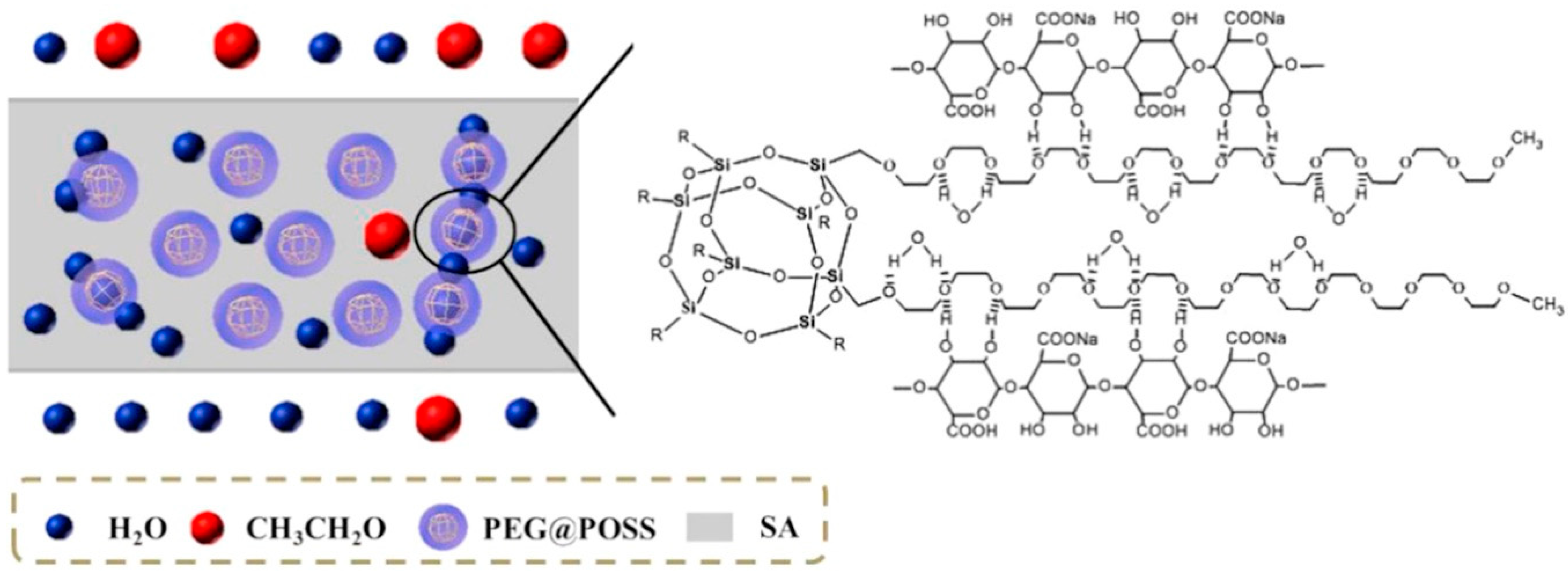 Molecules 24 03584 g004