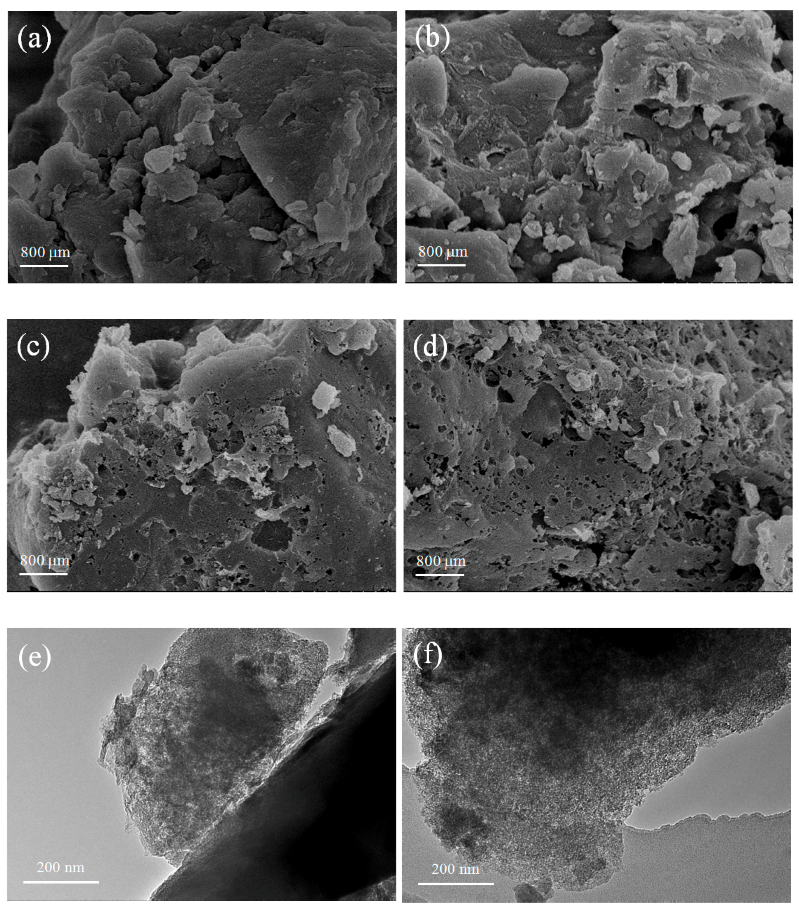 Molecules 24 03588 g001 Molecules 24 03588 g001
