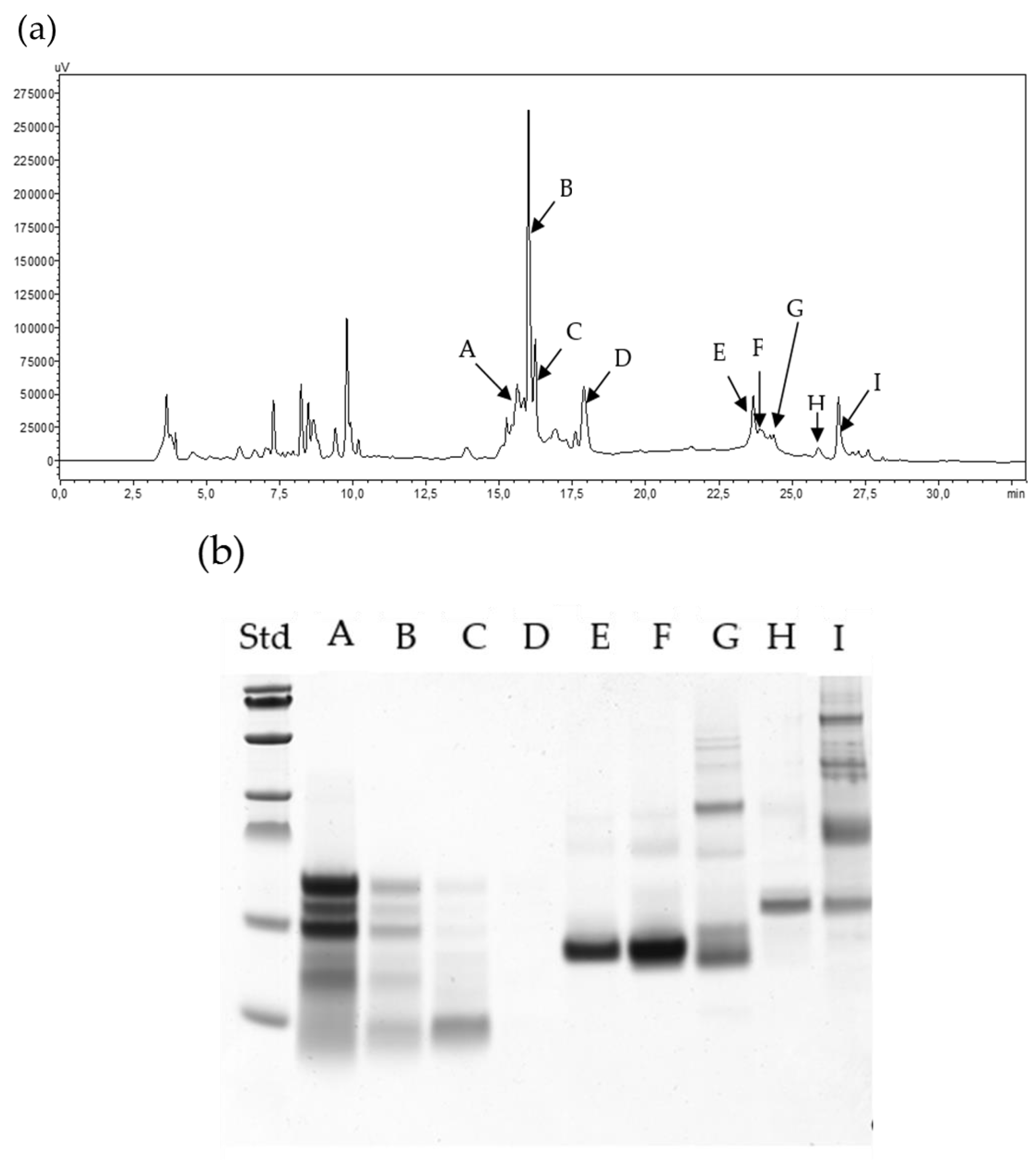 Molecules 24 03589 g003a