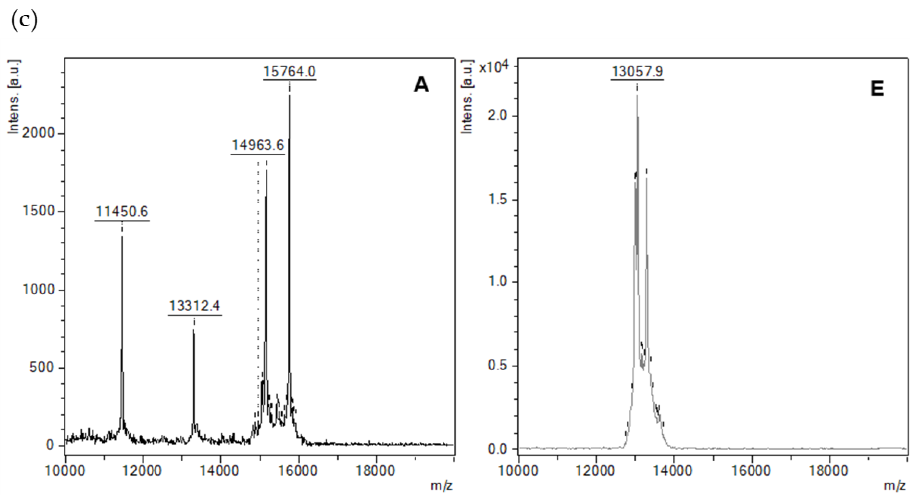 Molecules 24 03589 g003b
