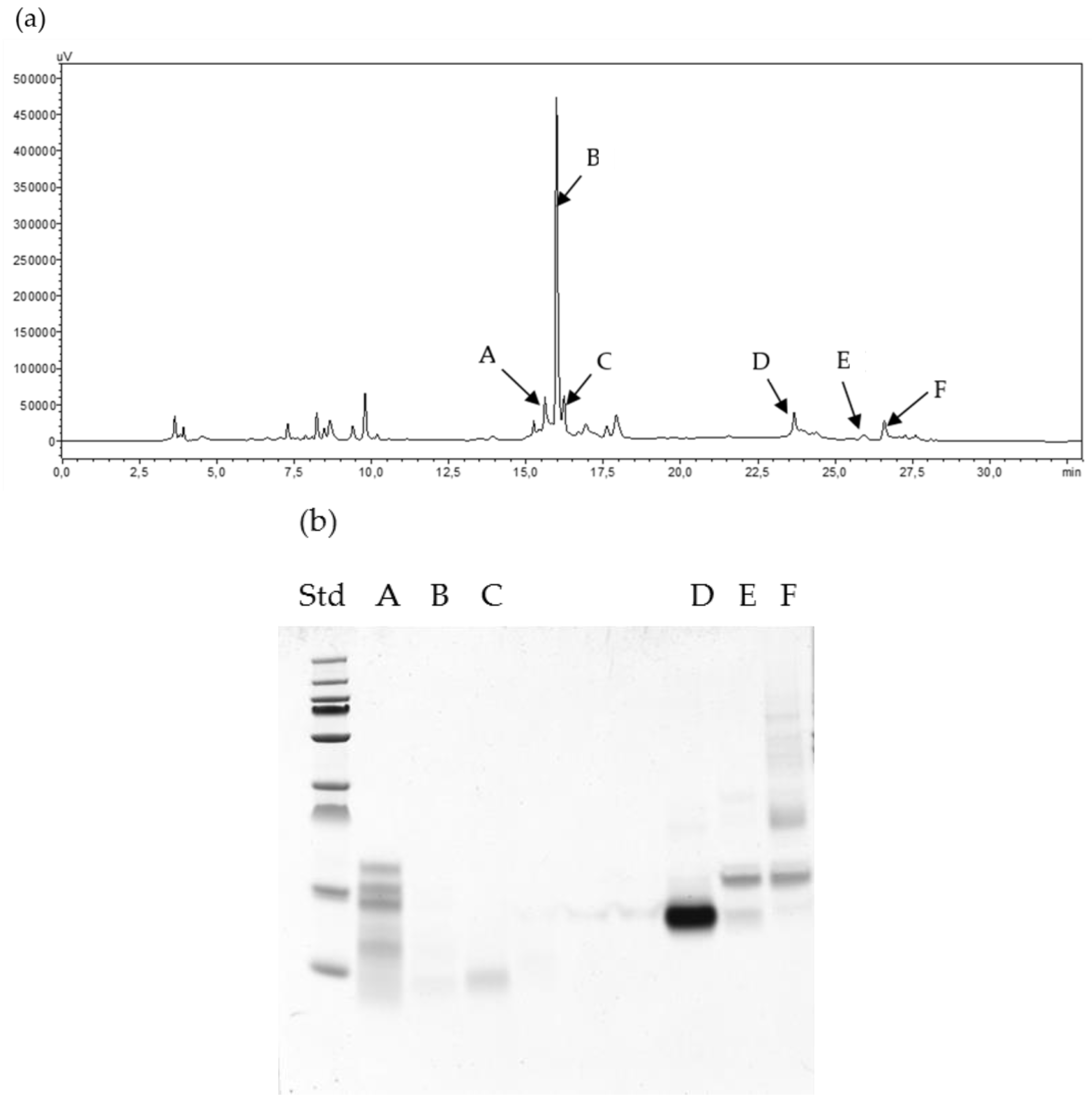 Molecules 24 03589 g004a