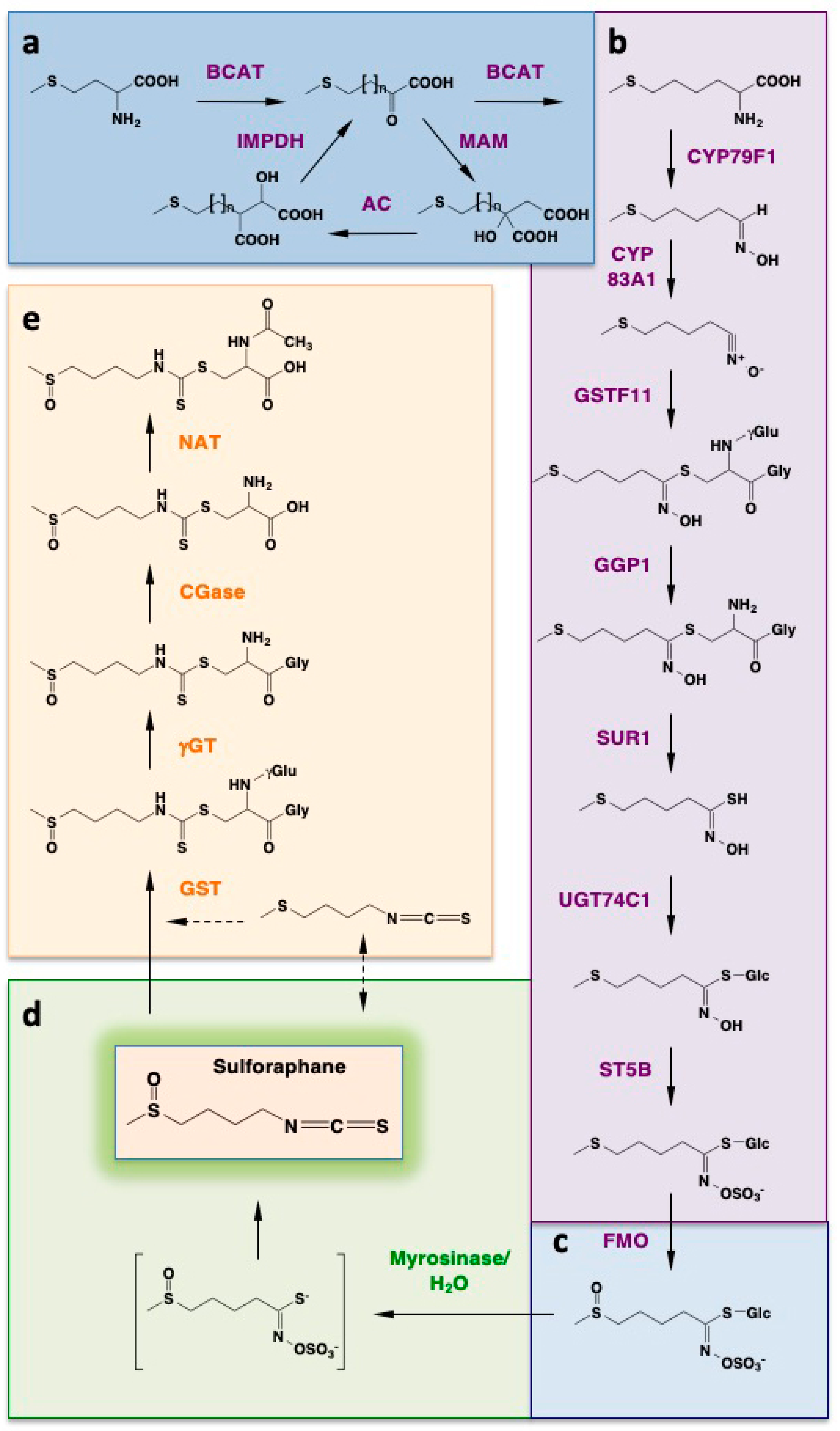 Molecules 24 03593 sch001 Molecules 24 03593 sch001