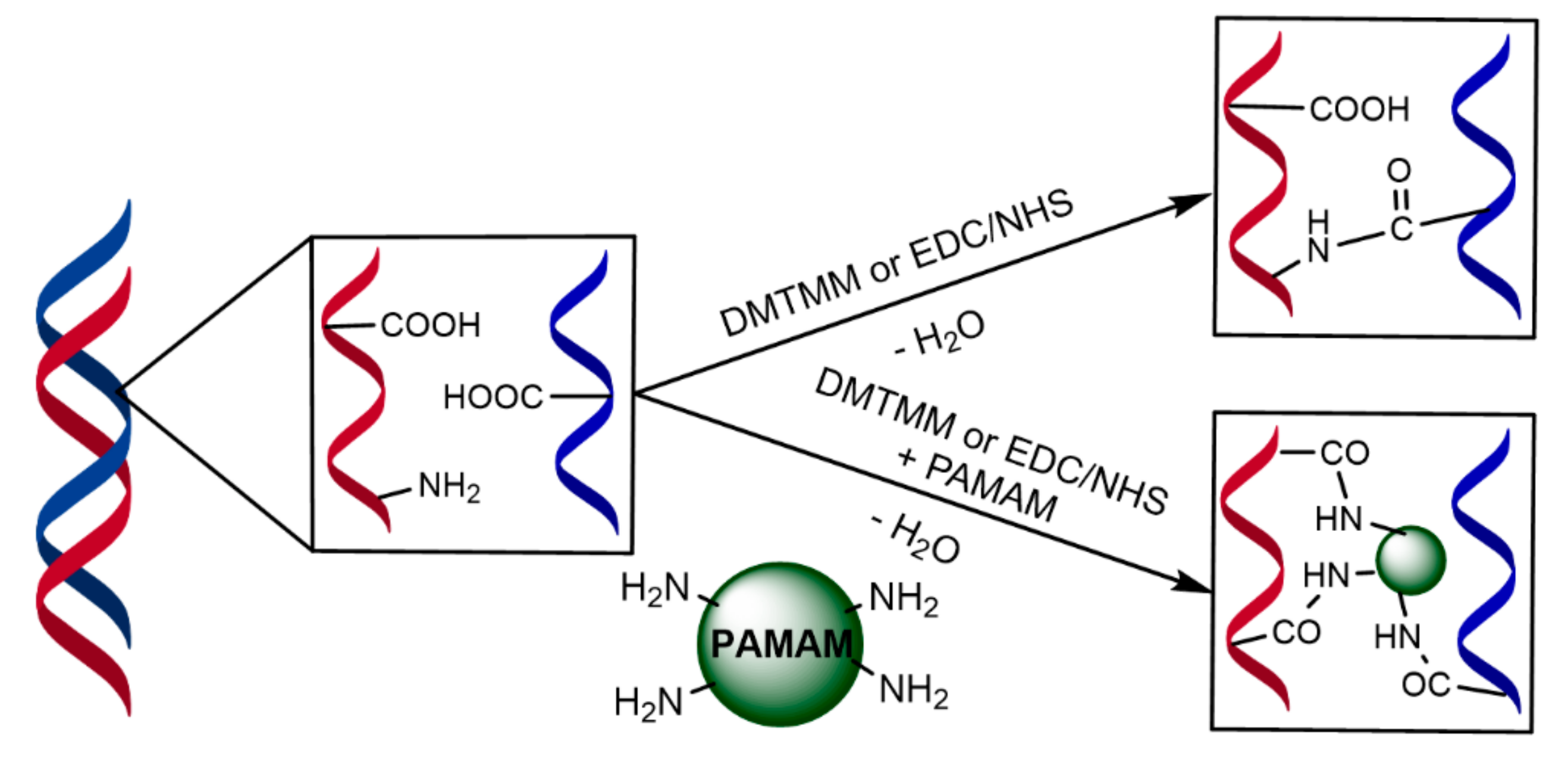 Molecules 24 03611 sch001
