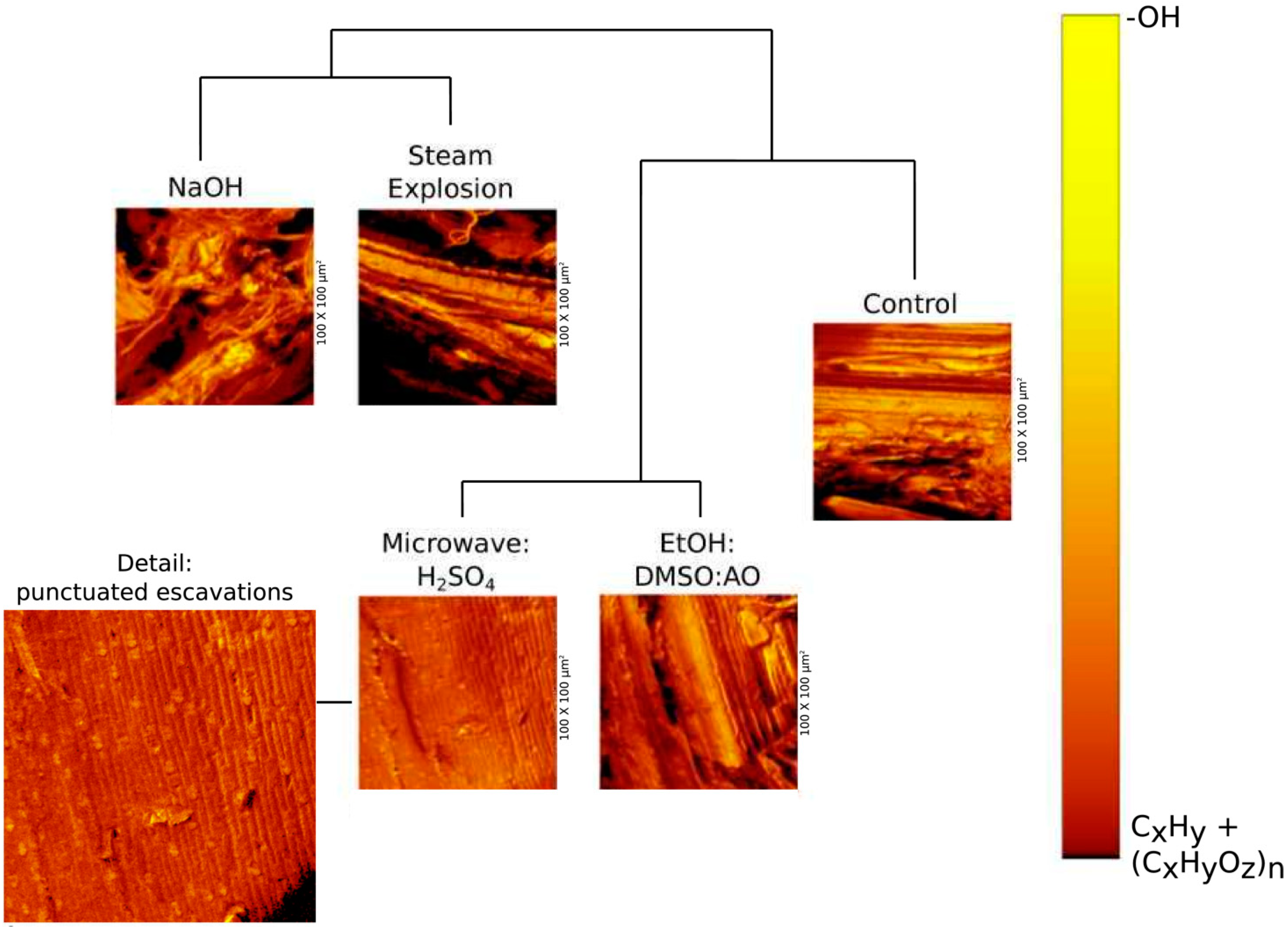 Molecules 24 03614 g001