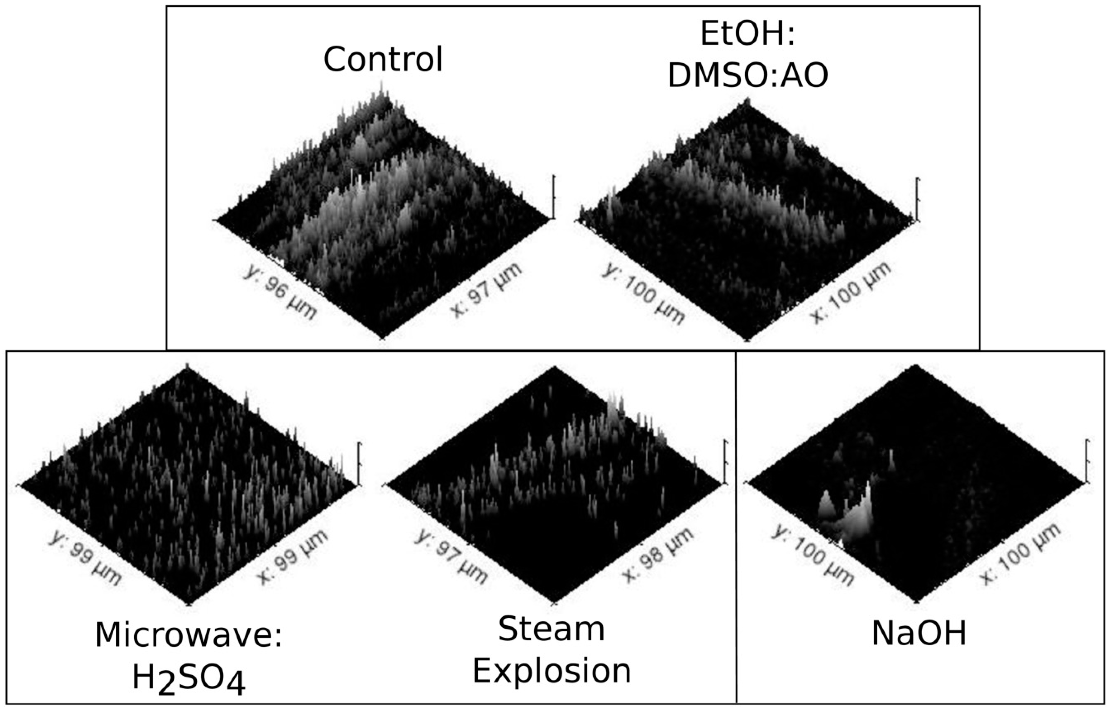 Molecules 24 03614 g002