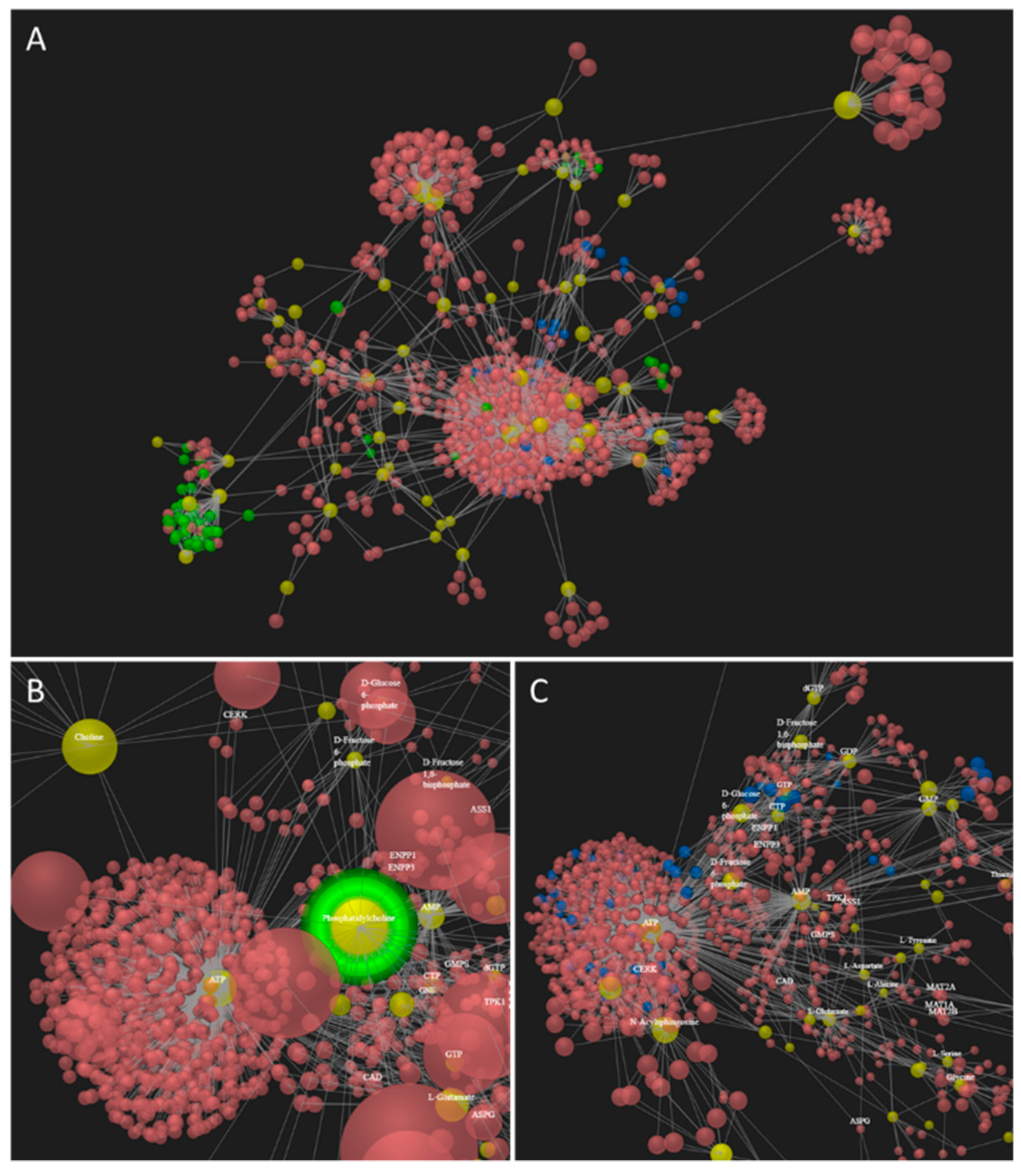 Molecules 24 03615 g004 Molecules 24 03615 g004