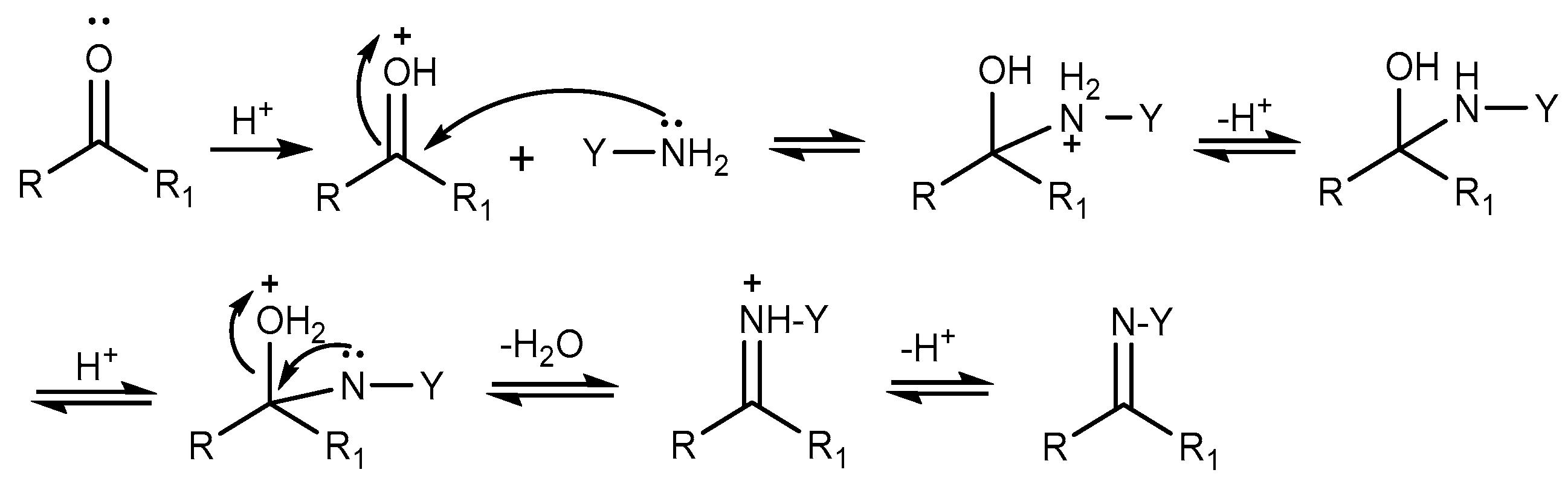 Molecules 24 03616 sch015