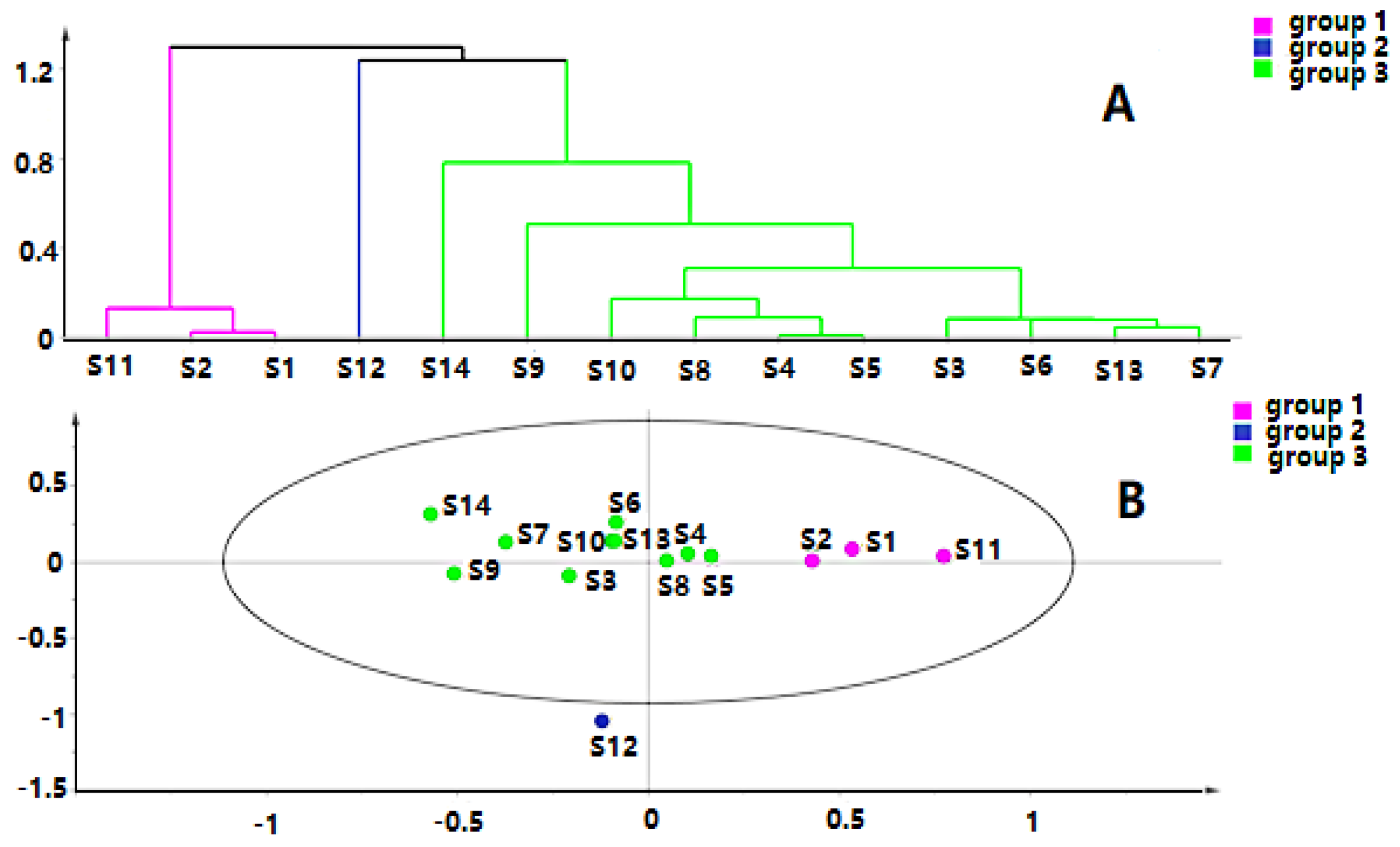 Molecules 24 03621 g005