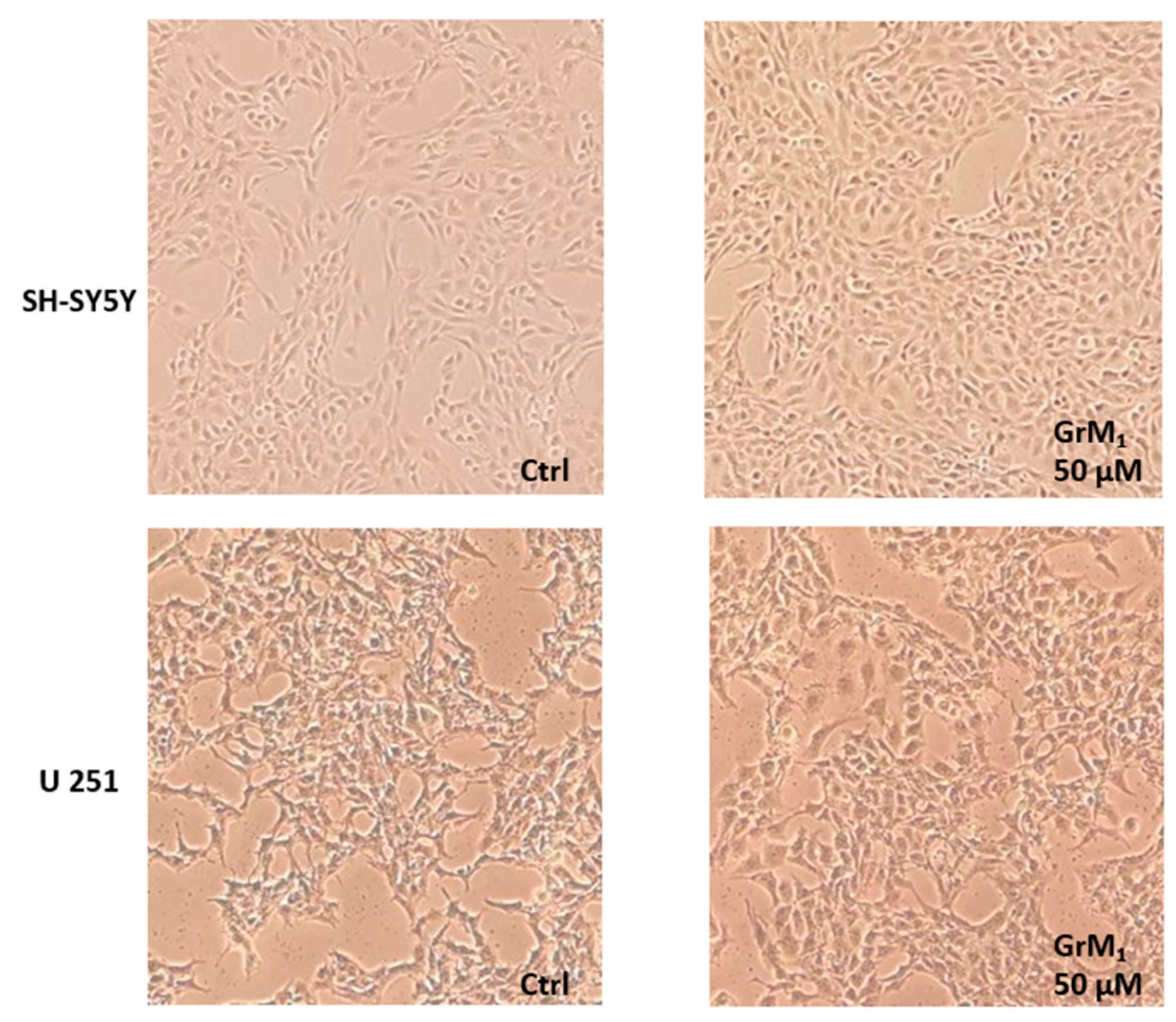 Molecules 24 03630 g011 Molecules 24 03630 g011