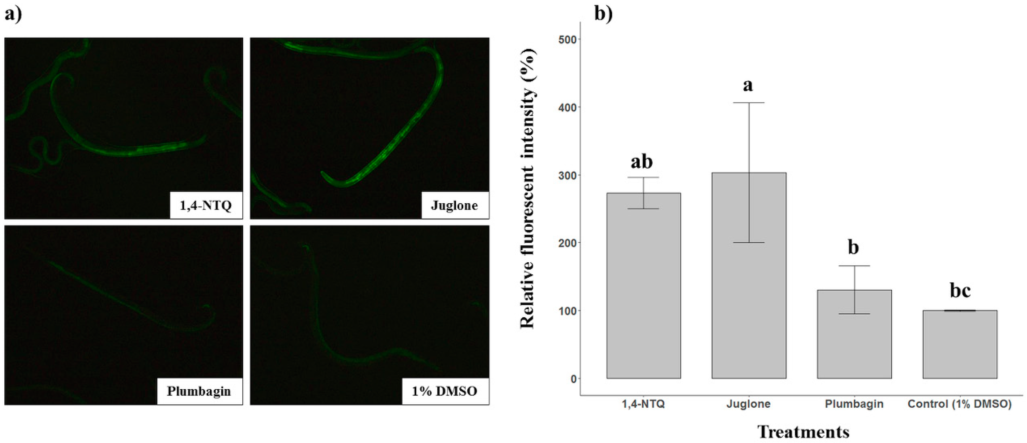 Molecules 24 03634 g004