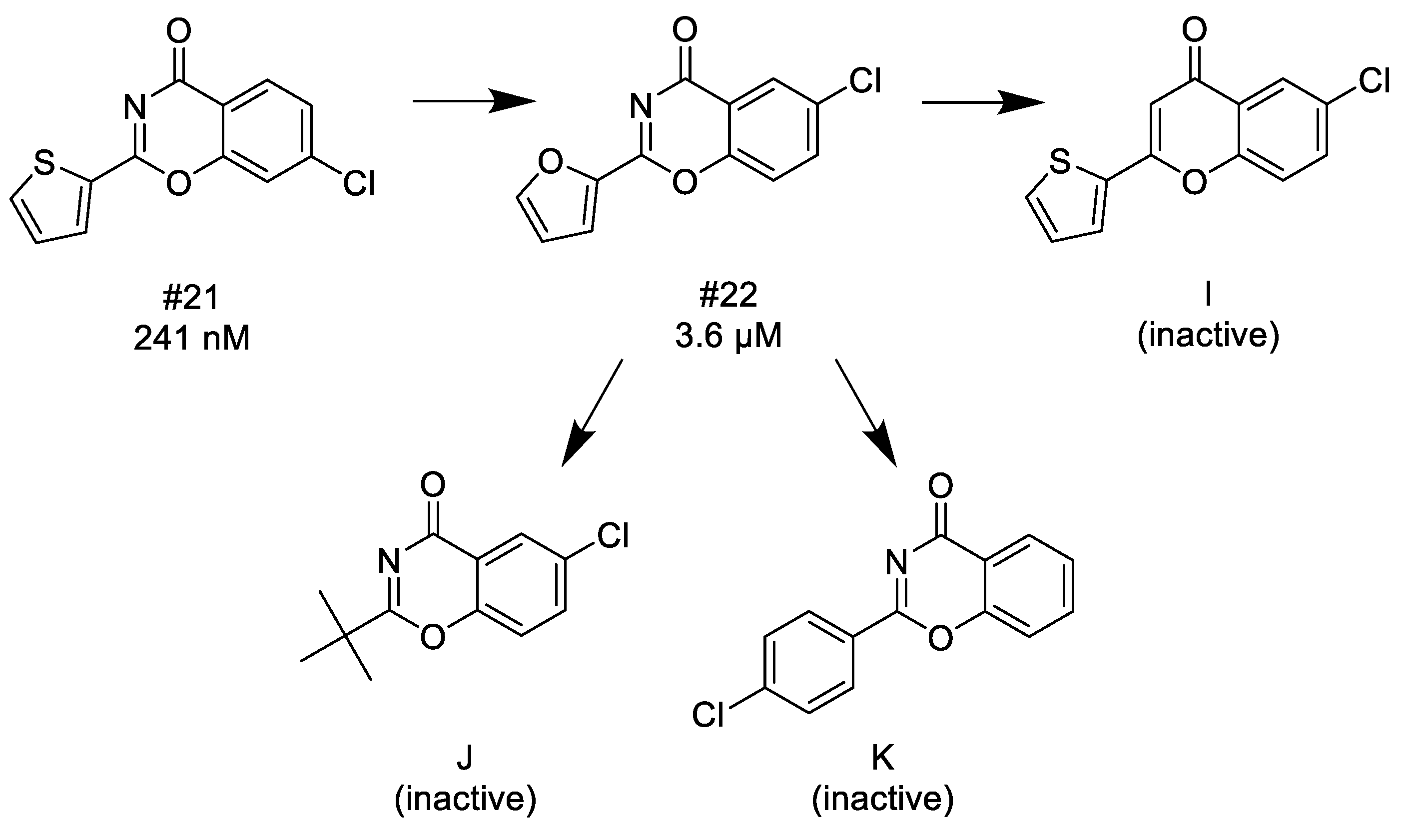 Molecules 24 03641 sch008