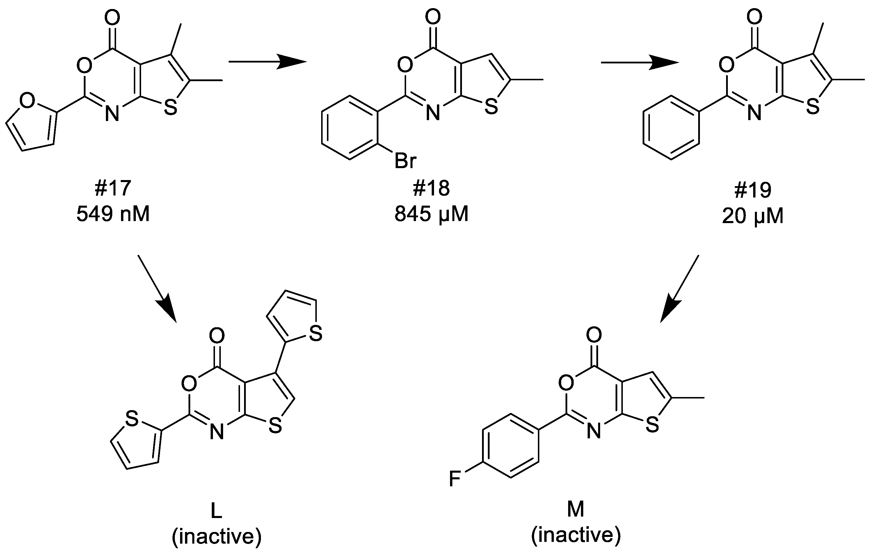 Molecules 24 03641 sch009