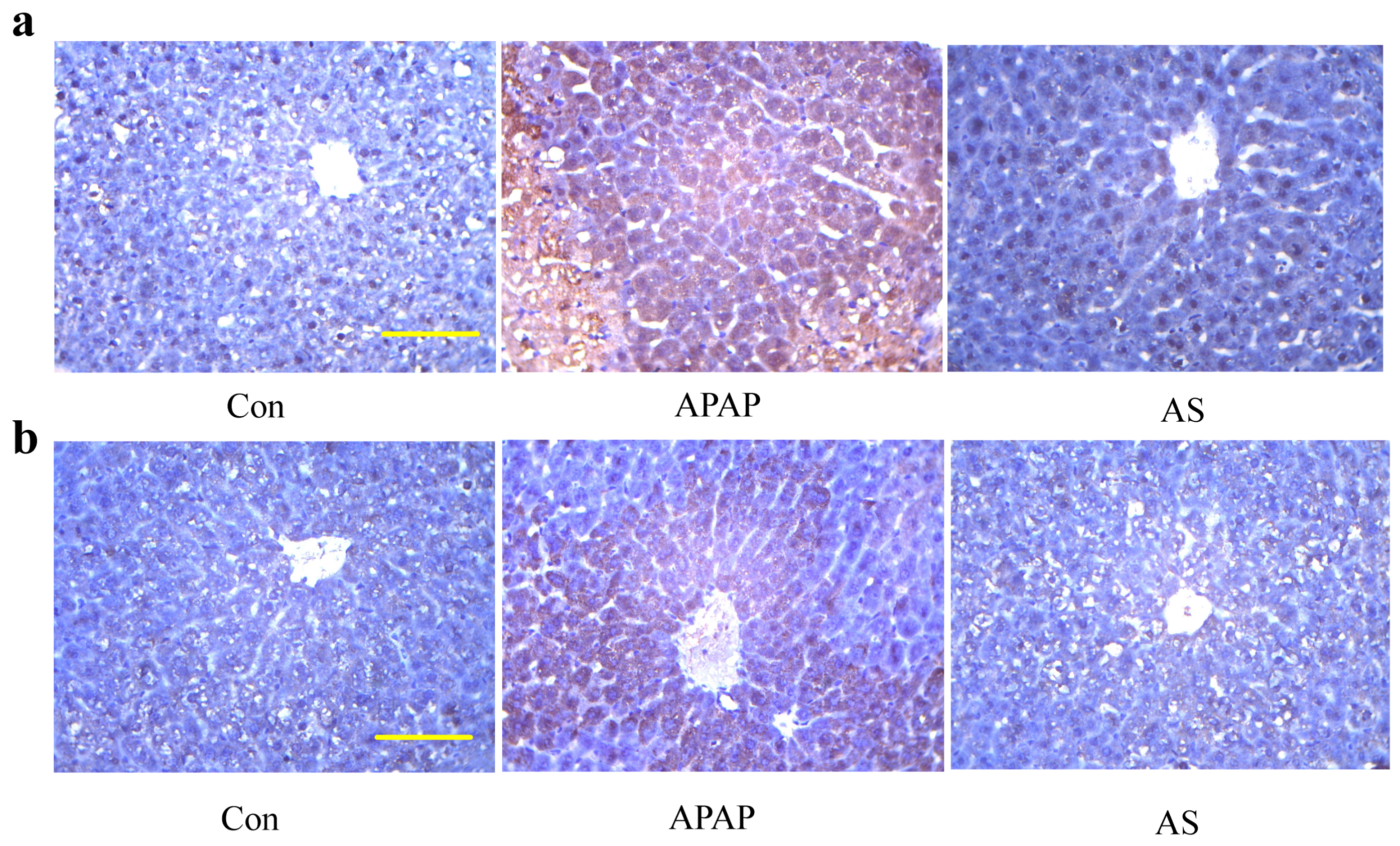 Molecules 24 03642 g006 Molecules 24 03642 g006