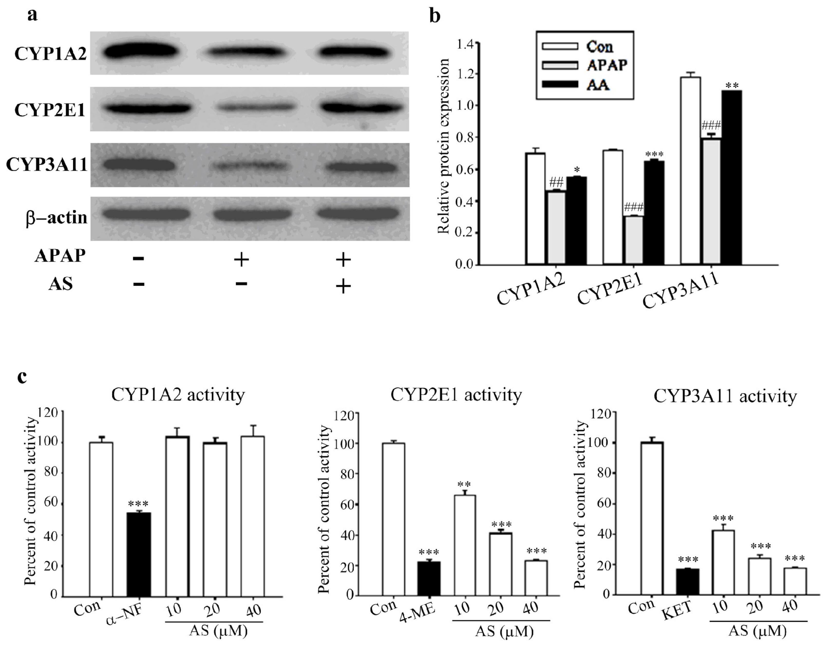 Molecules 24 03642 g007 Molecules 24 03642 g007