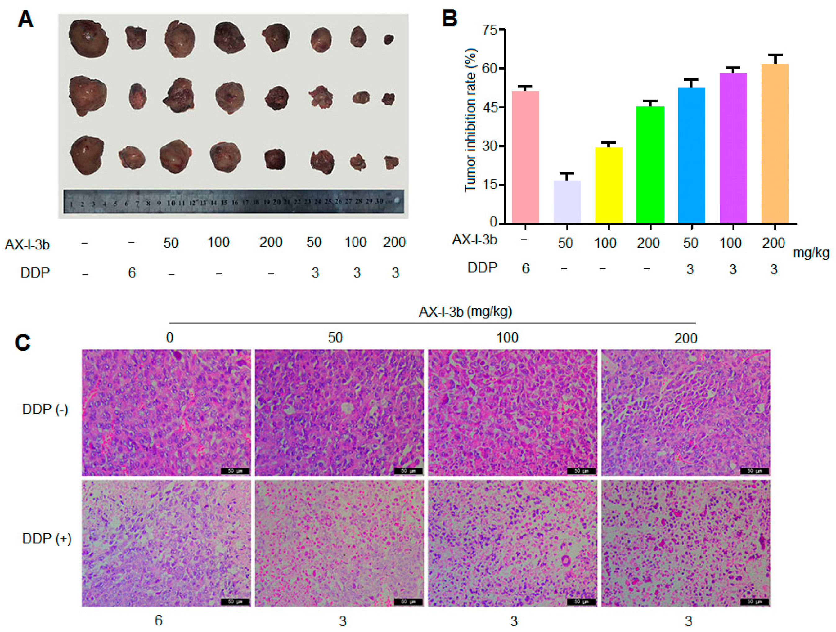 Molecules 24 03644 g007