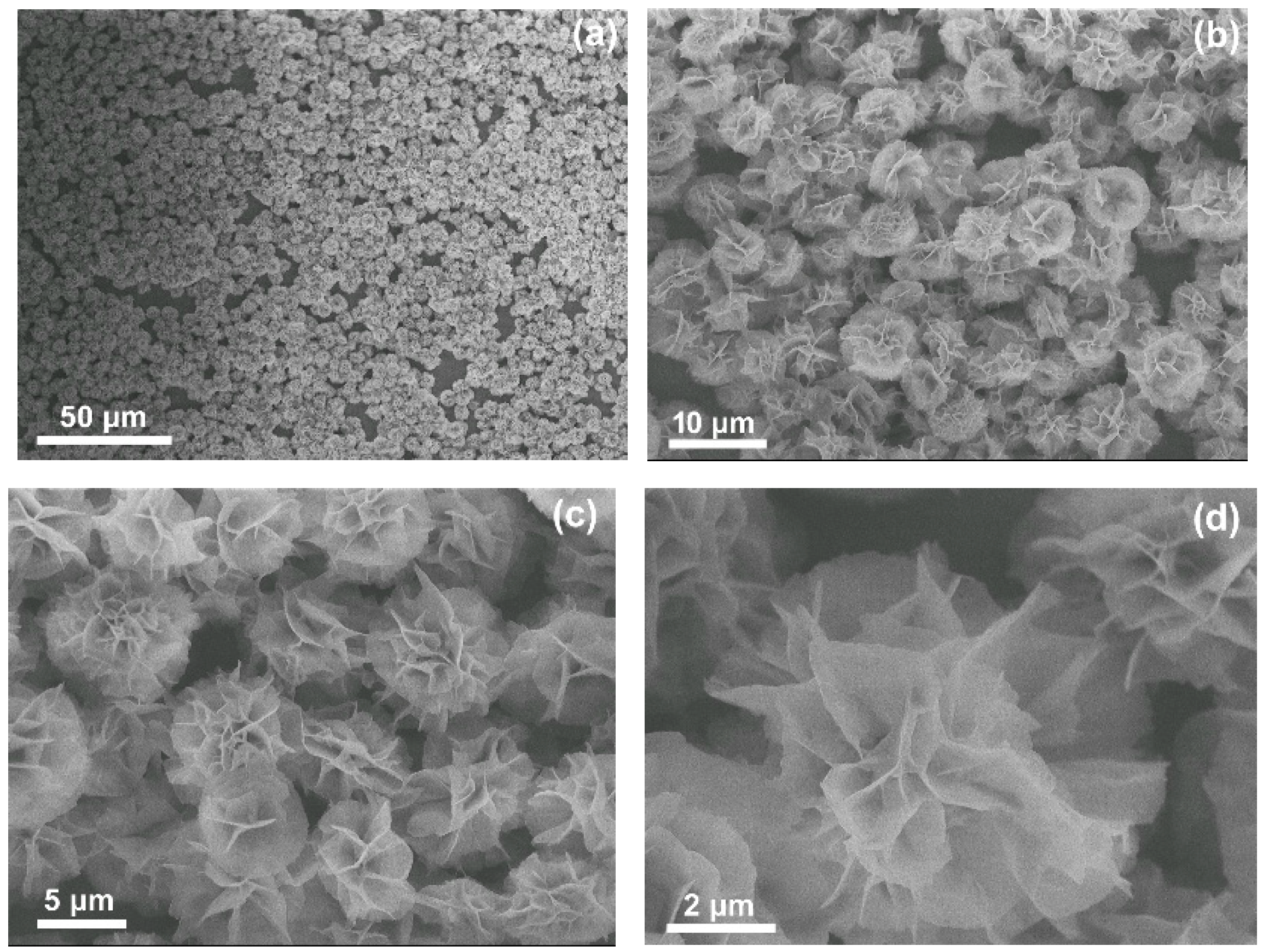 Molecules 24 03648 g001