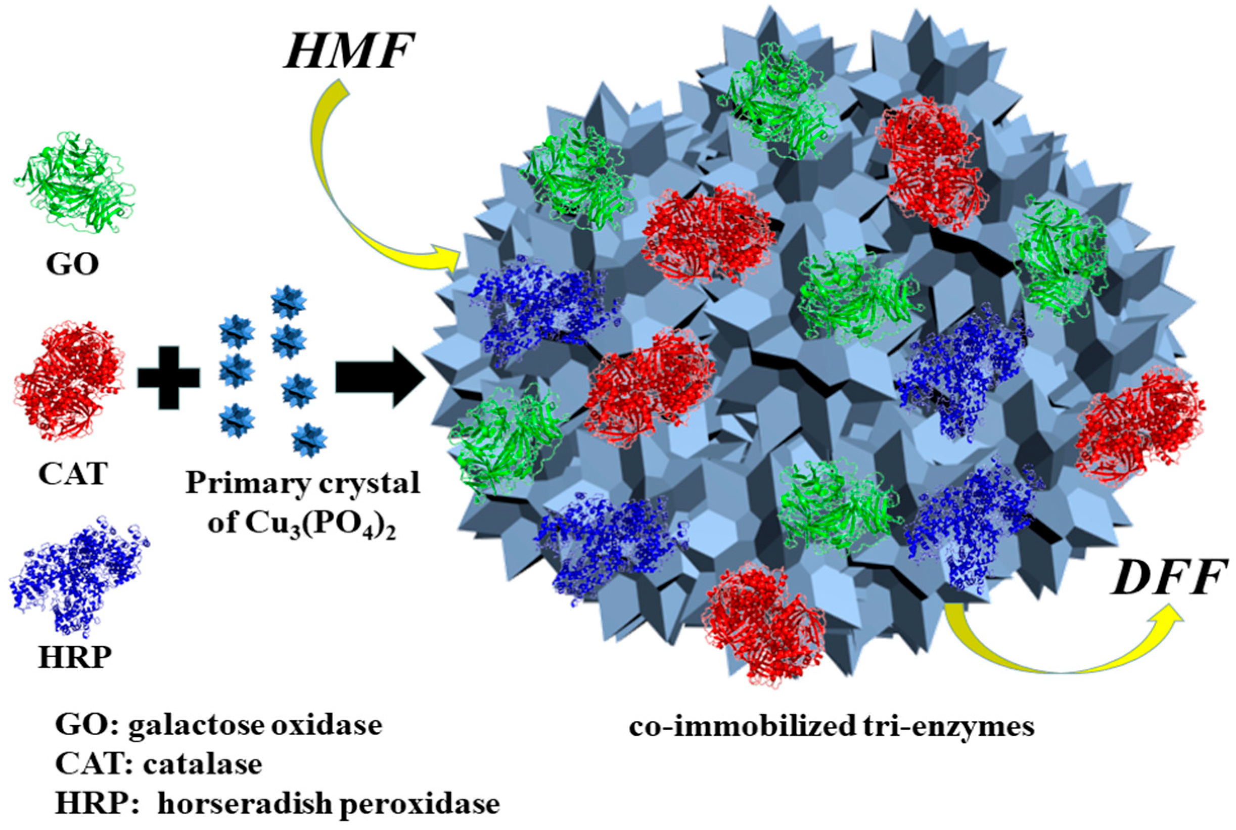 Molecules 24 03648 sch002