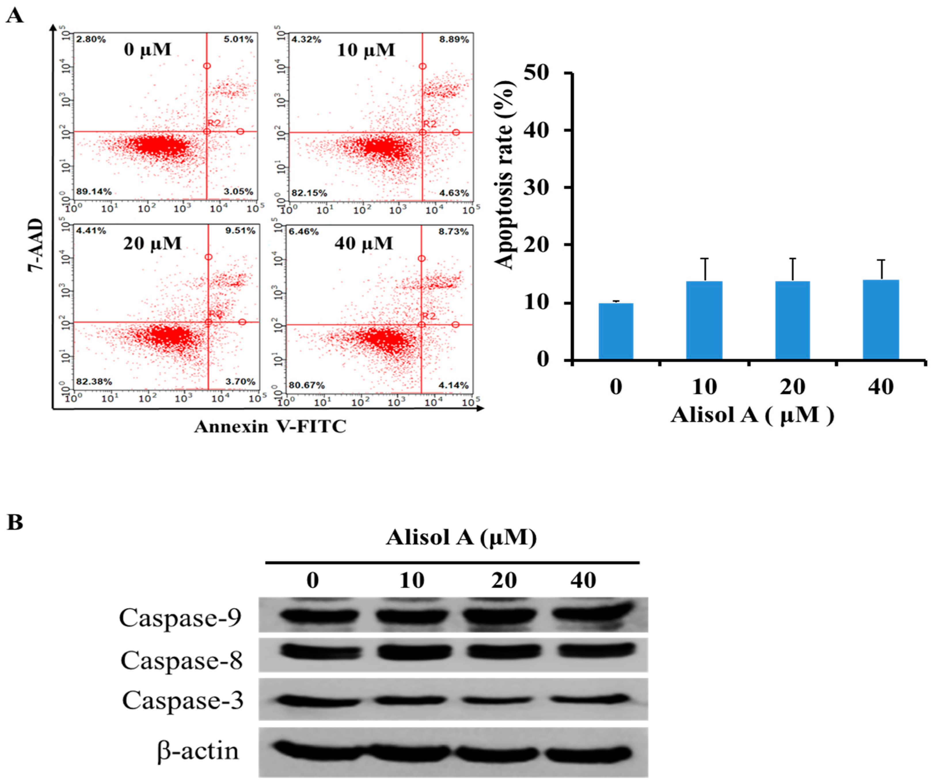 Molecules 24 03651 g002