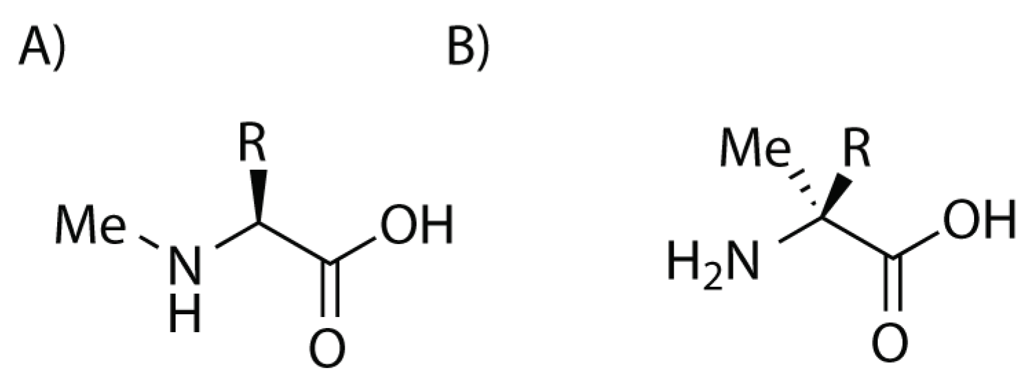 Molecules 24 03654 g002