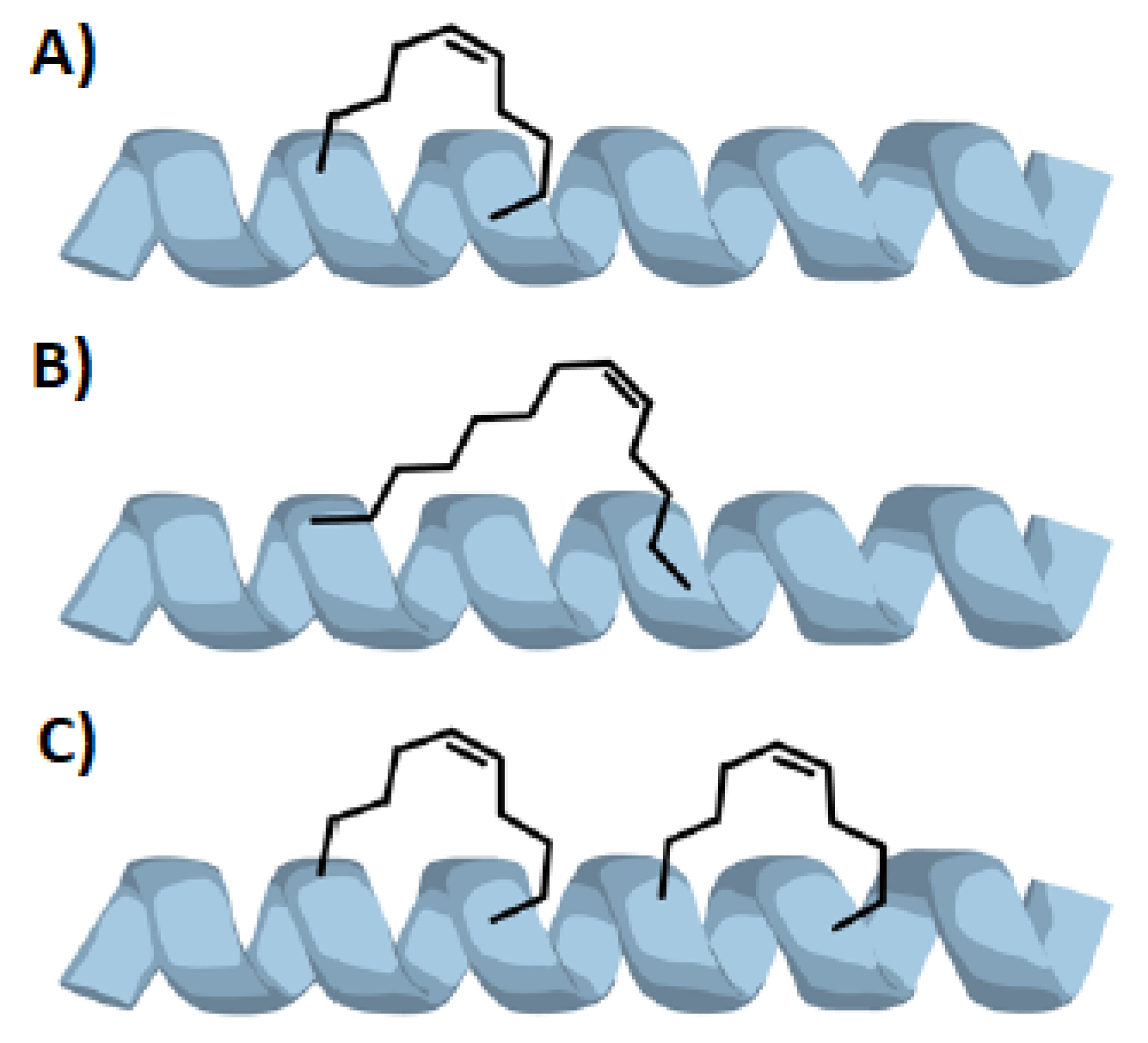 Molecules 24 03654 g003