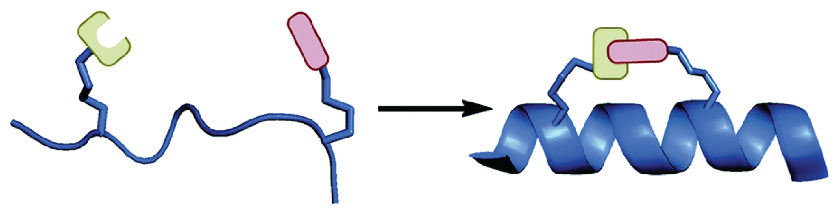 Molecules 24 03654 sch001