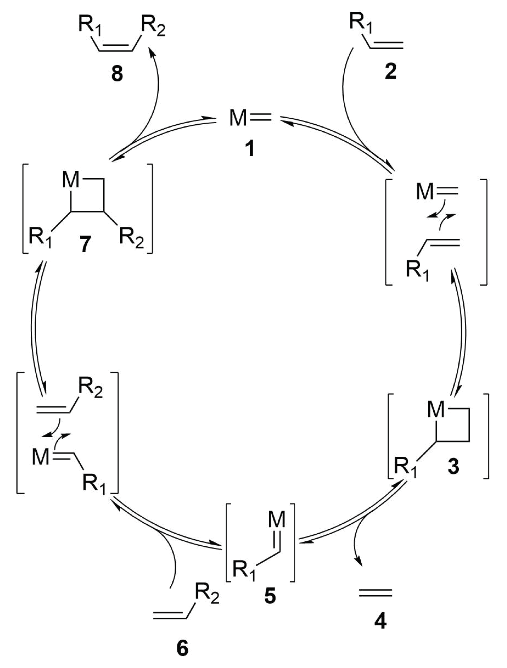 Molecules 24 03654 sch003
