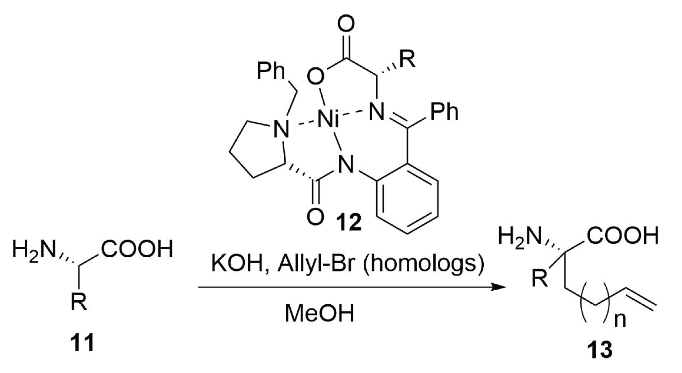 Molecules 24 03654 sch005