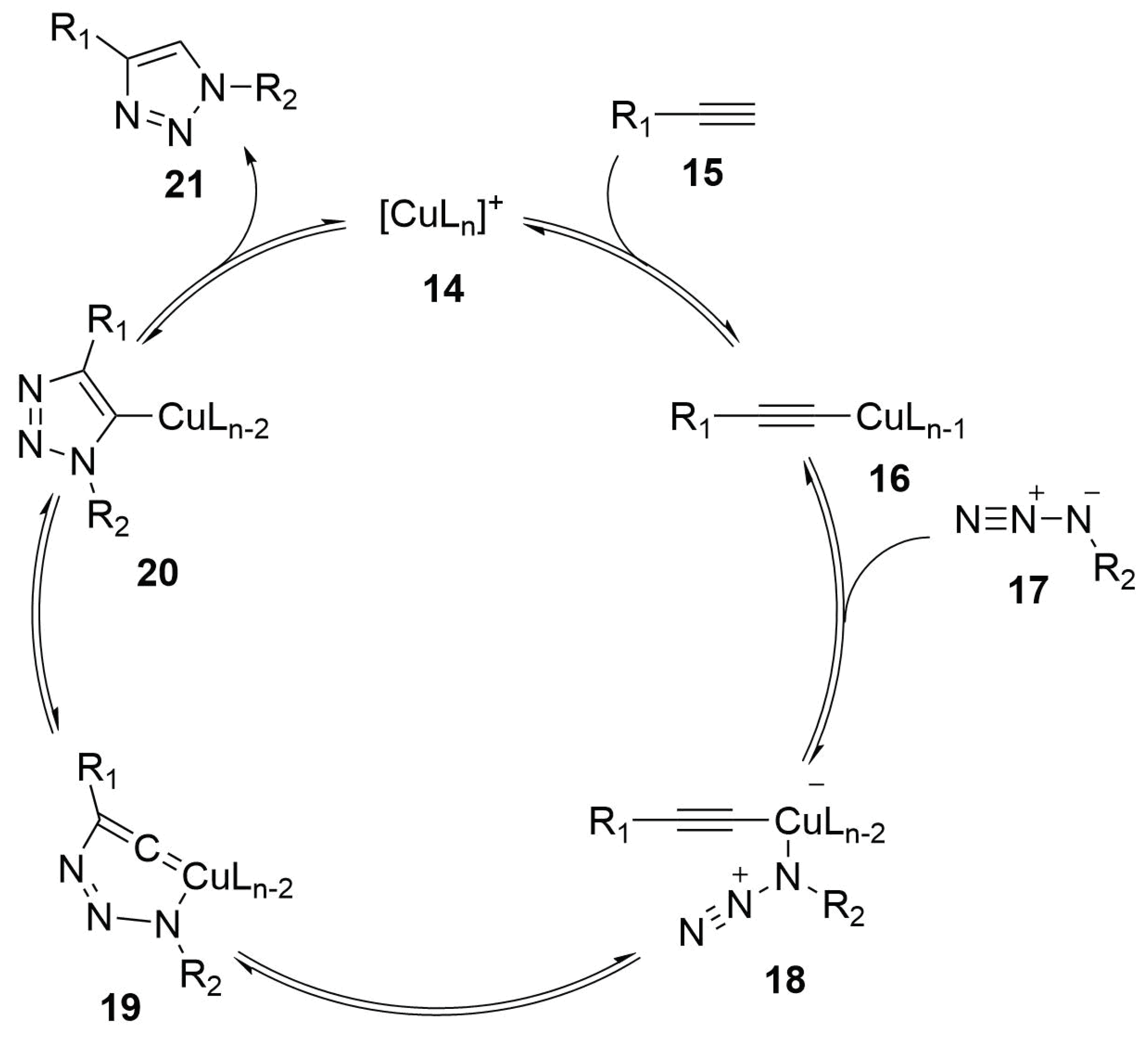 Molecules 24 03654 sch007