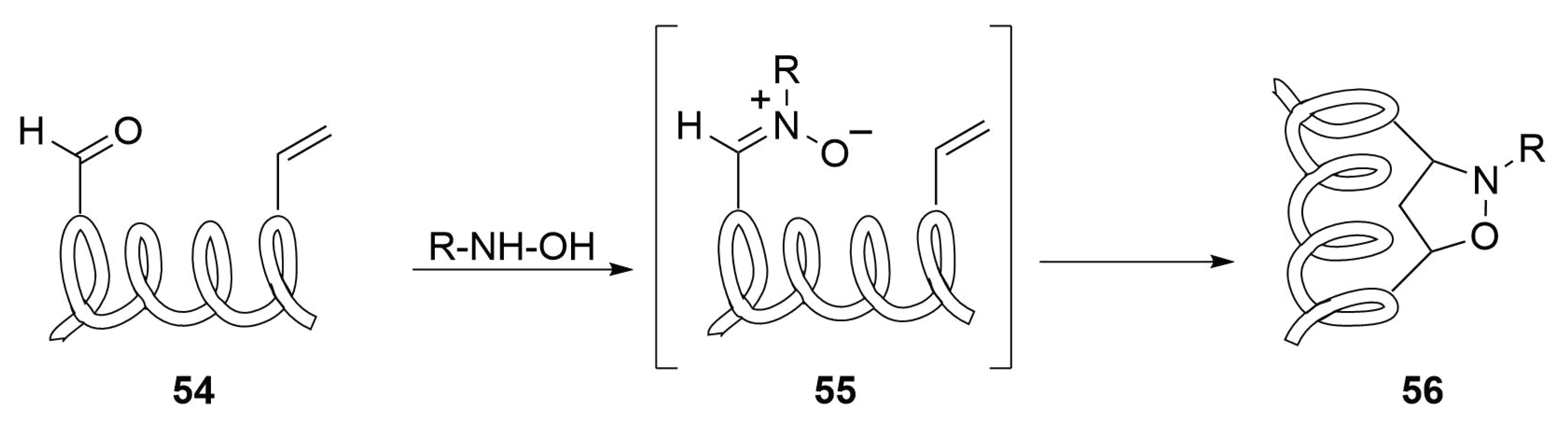 Molecules 24 03654 sch024