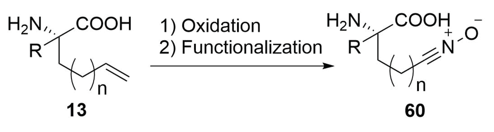 Molecules 24 03654 sch026