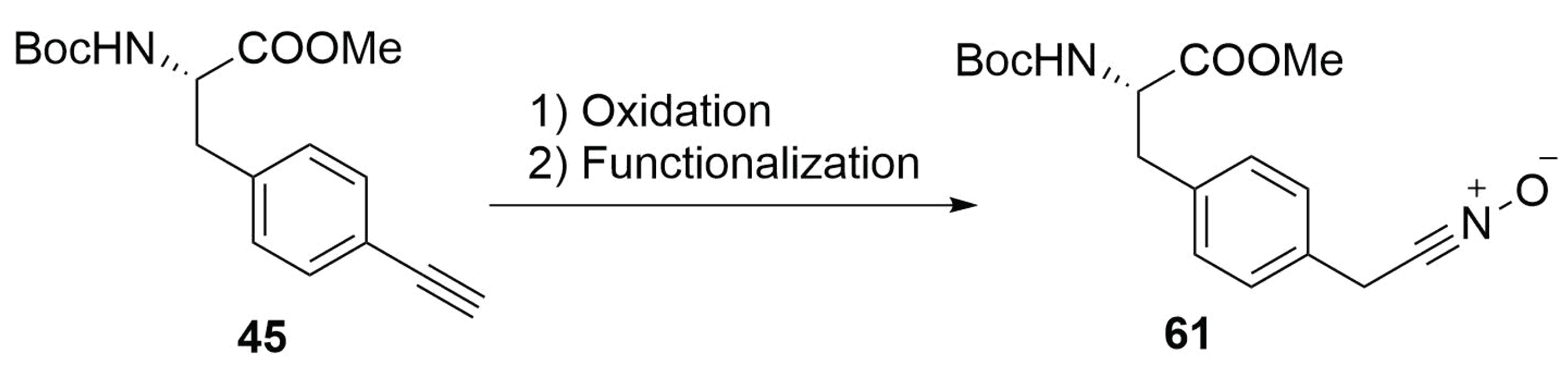Molecules 24 03654 sch027