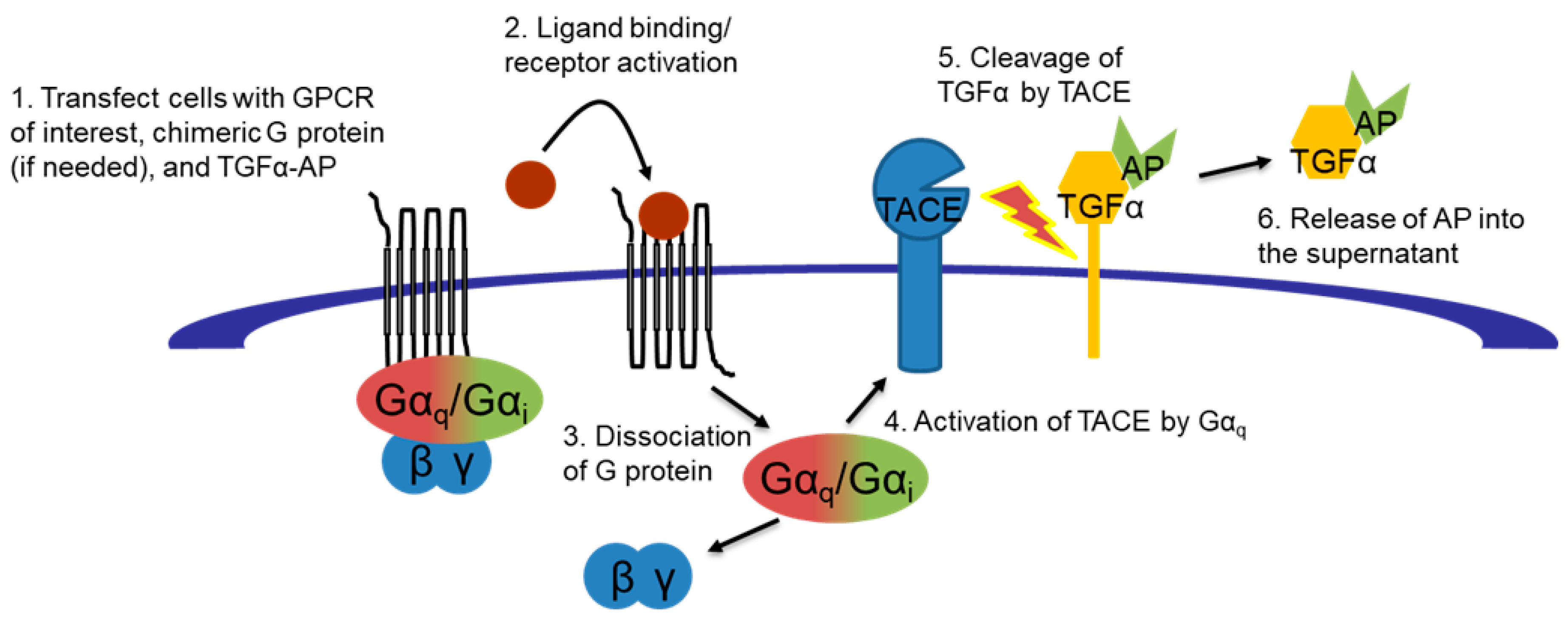 Molecules 24 03661 g003