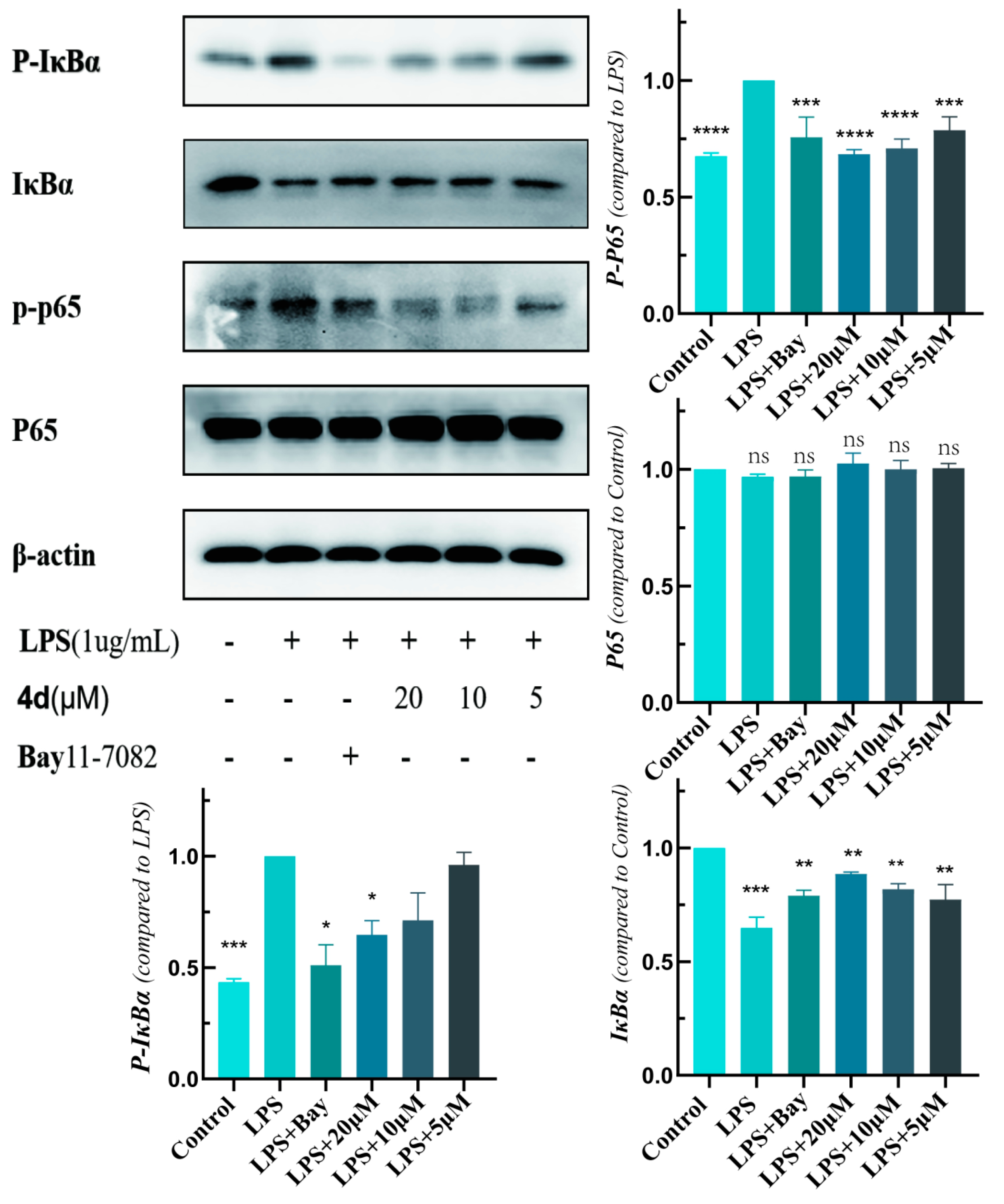 Molecules 24 03663 g004 Molecules 24 03663 g004