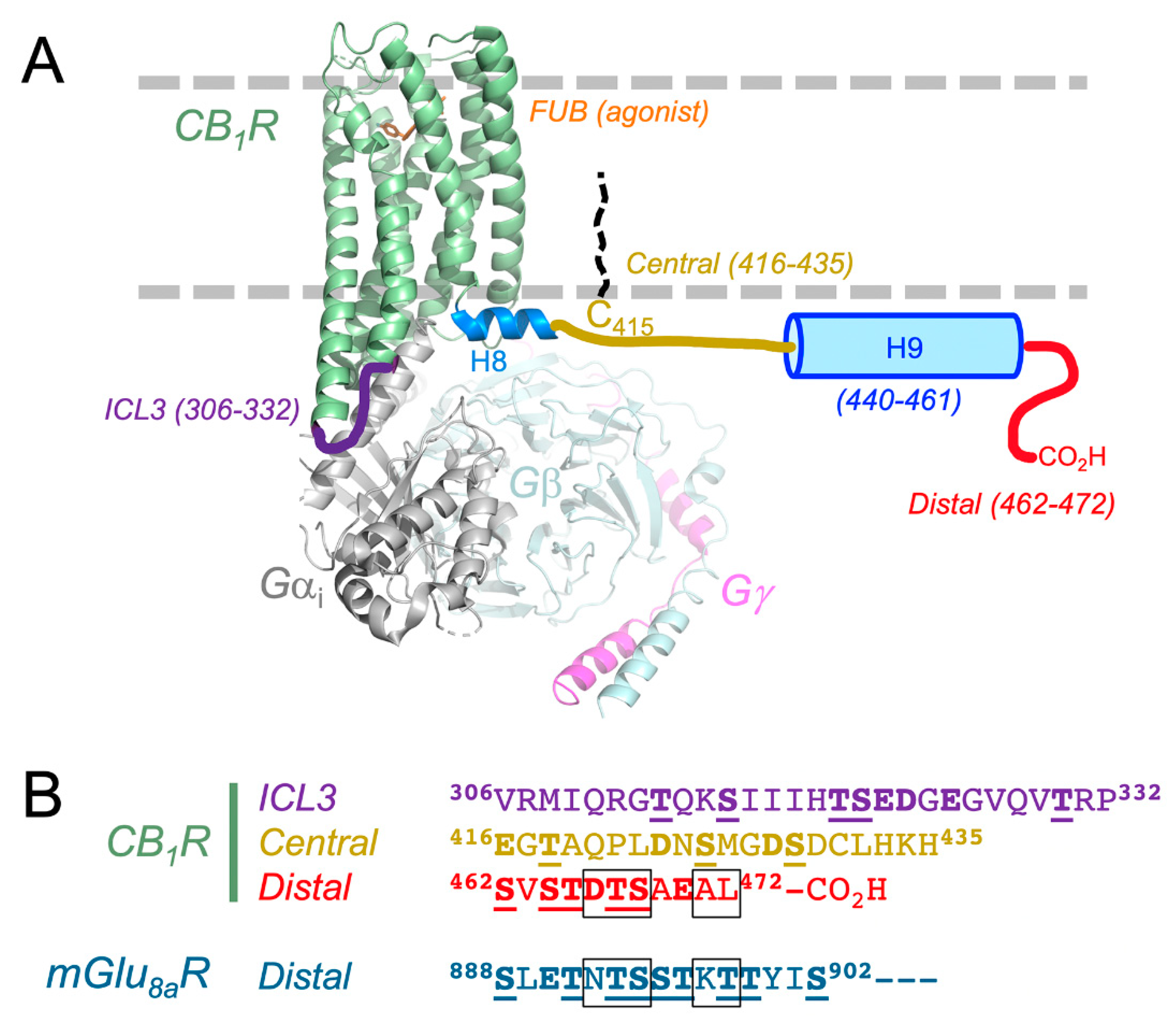 Molecules 24 03672 g001 Molecules 24 03672 g001
