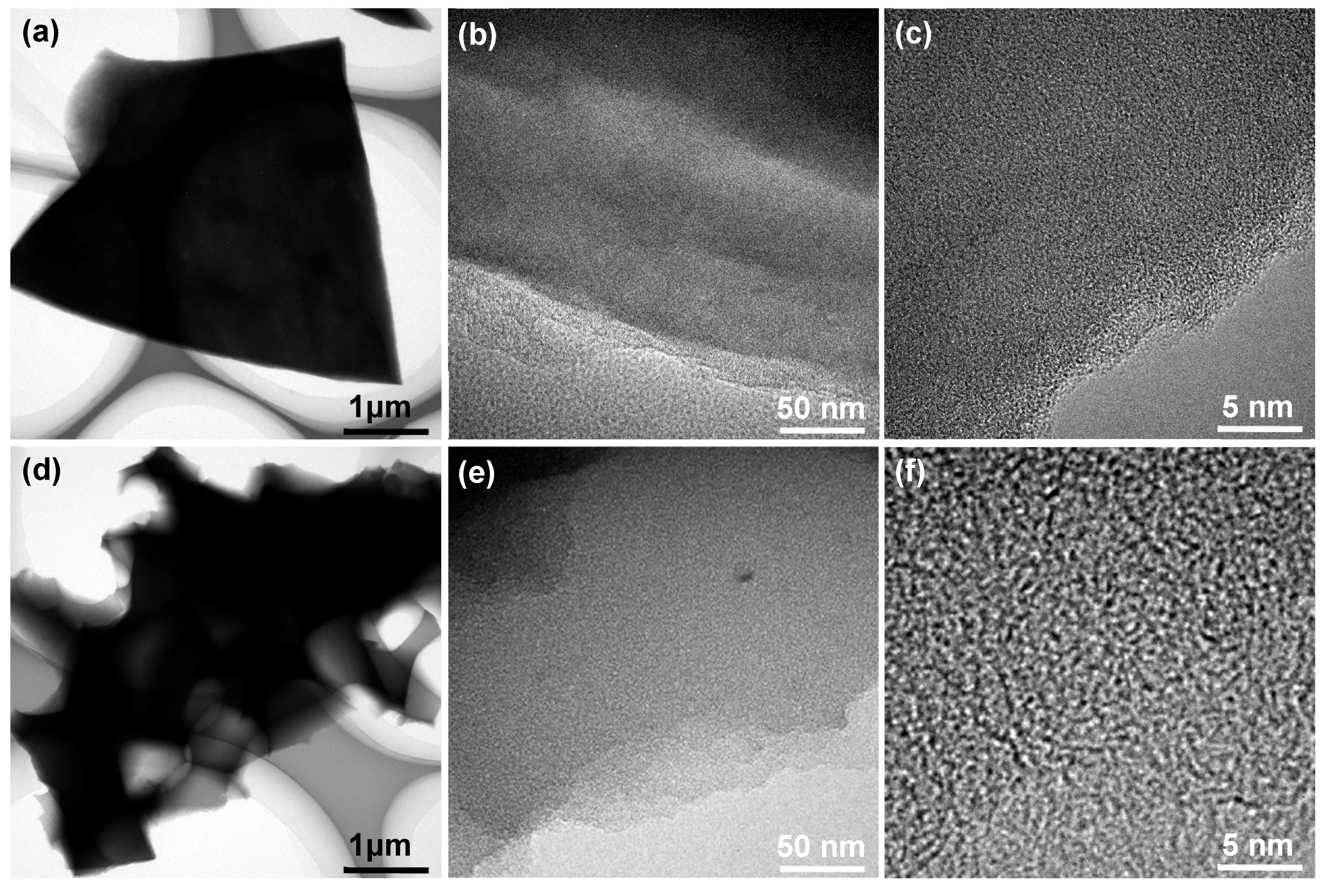 Molecules 24 03677 g003