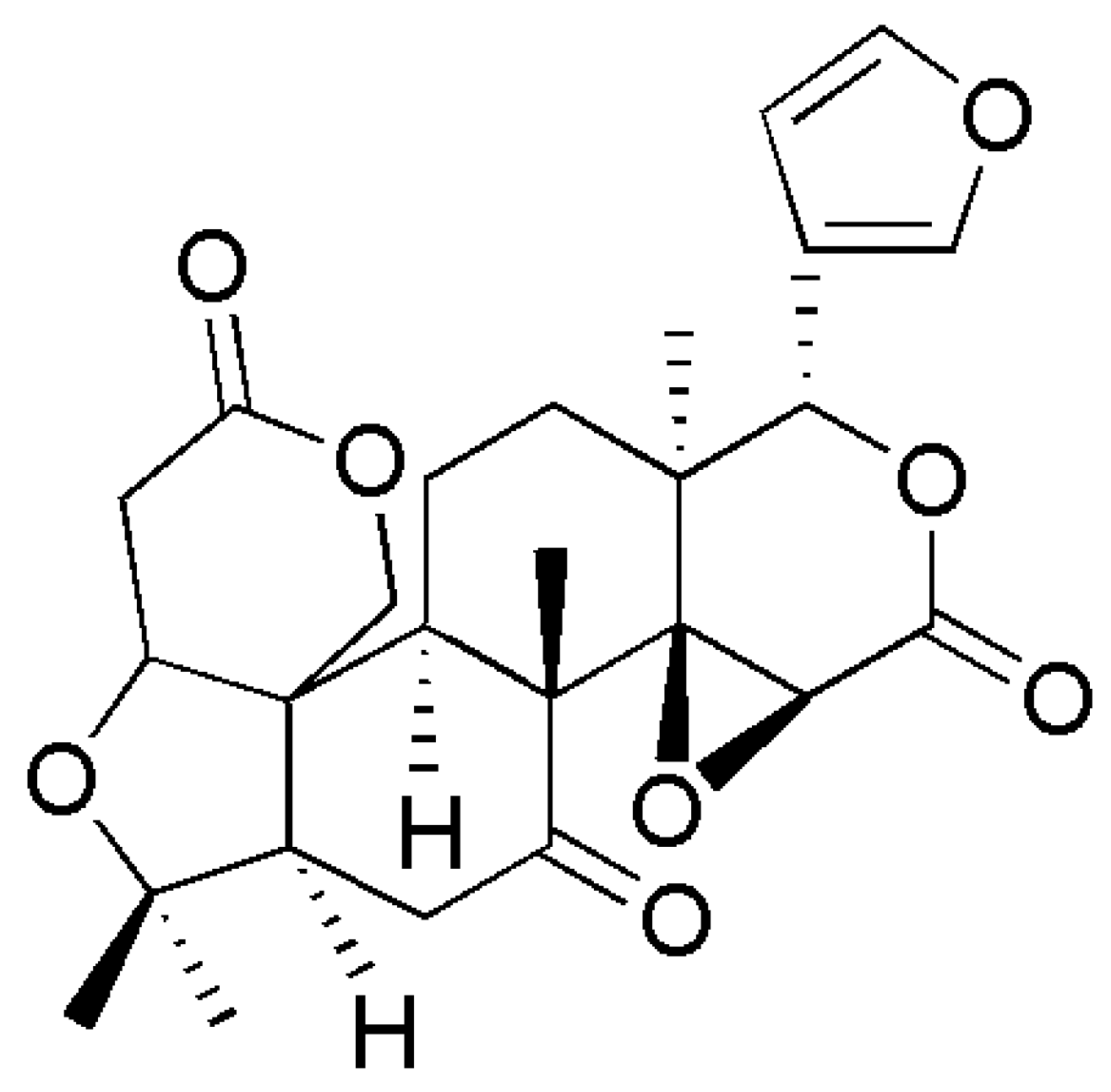 Molecules 24 03679 g001