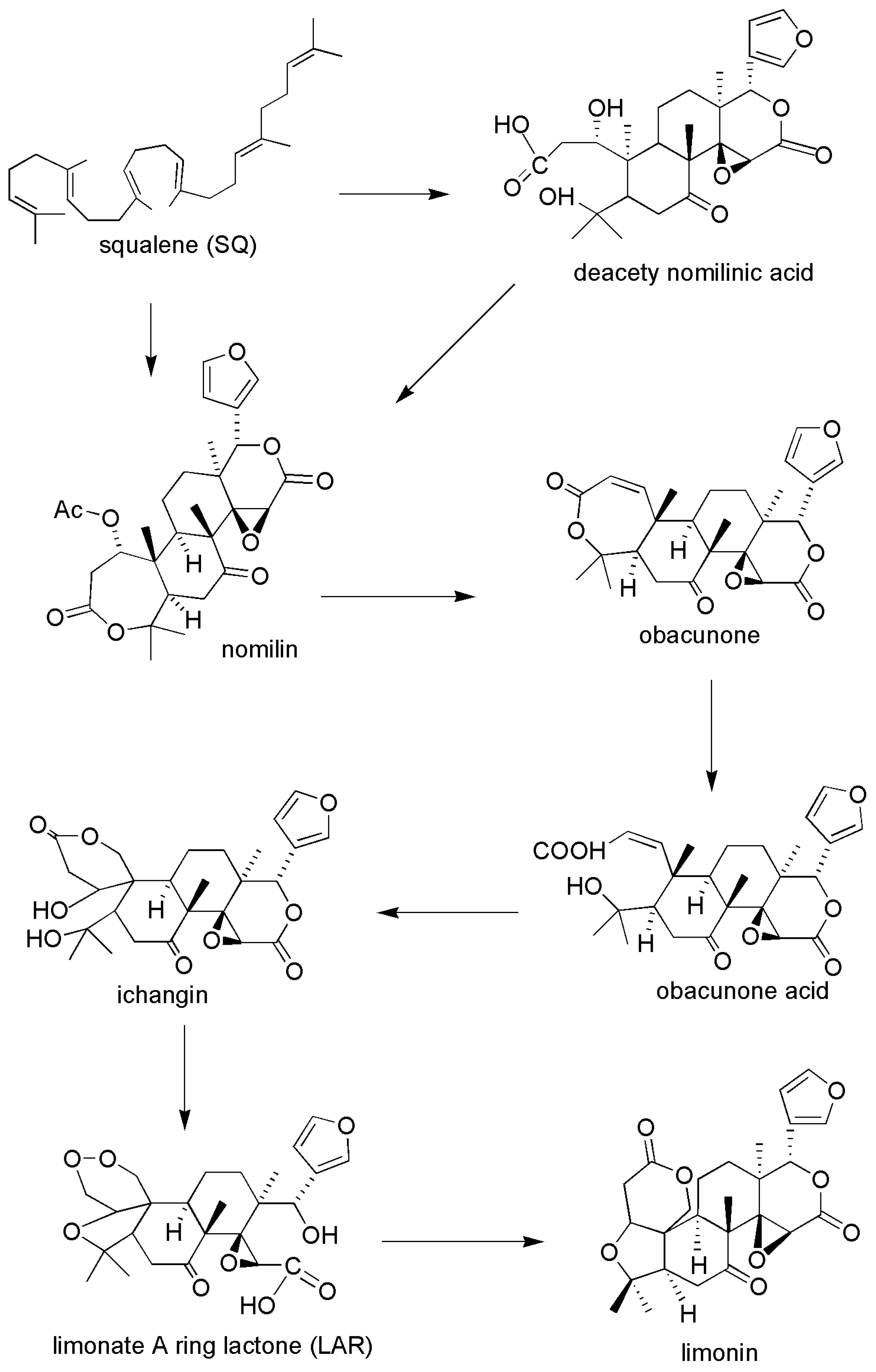 Molecules 24 03679 g002