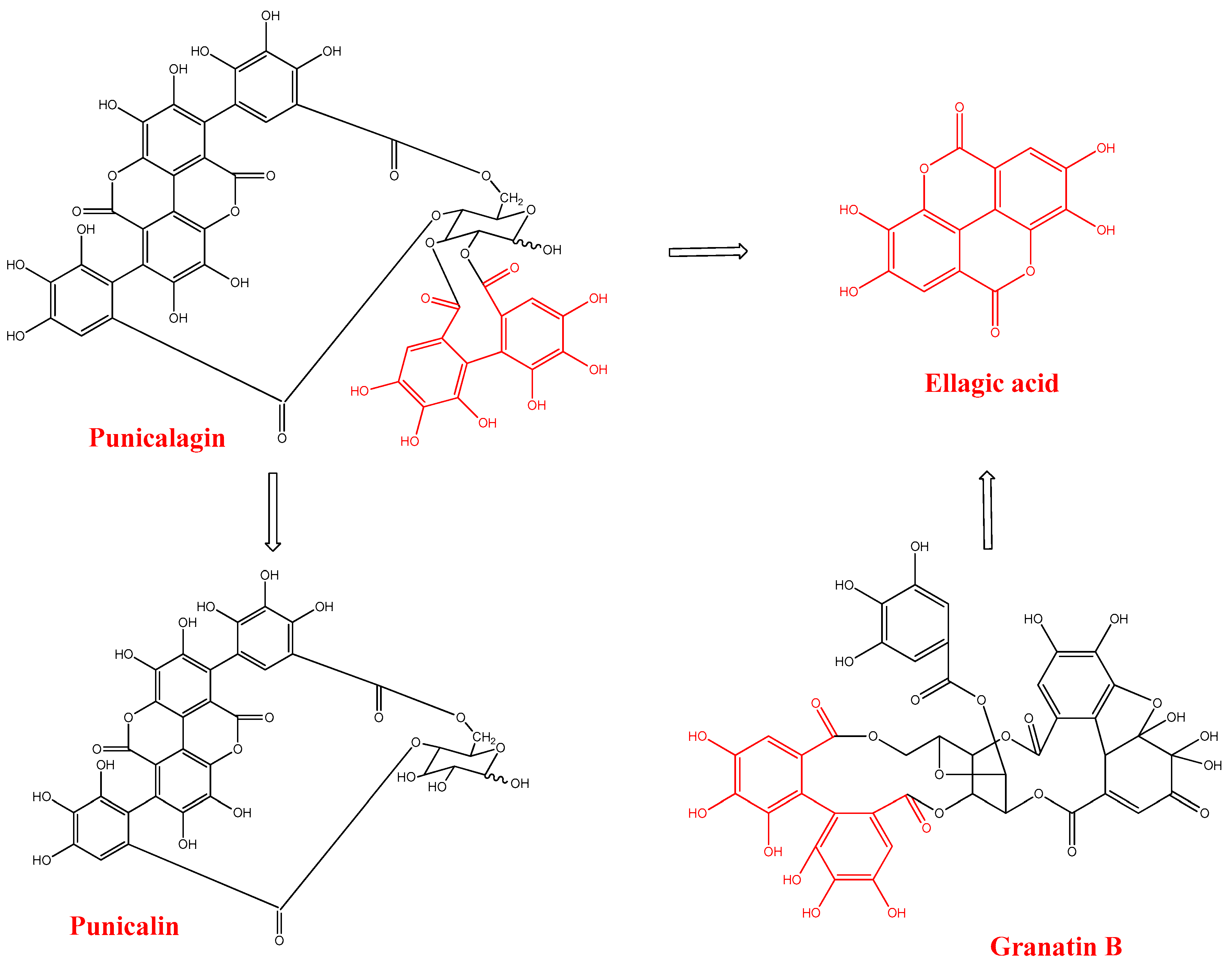 Molecules 24 03689 sch001 Molecules 24 03689 sch001
