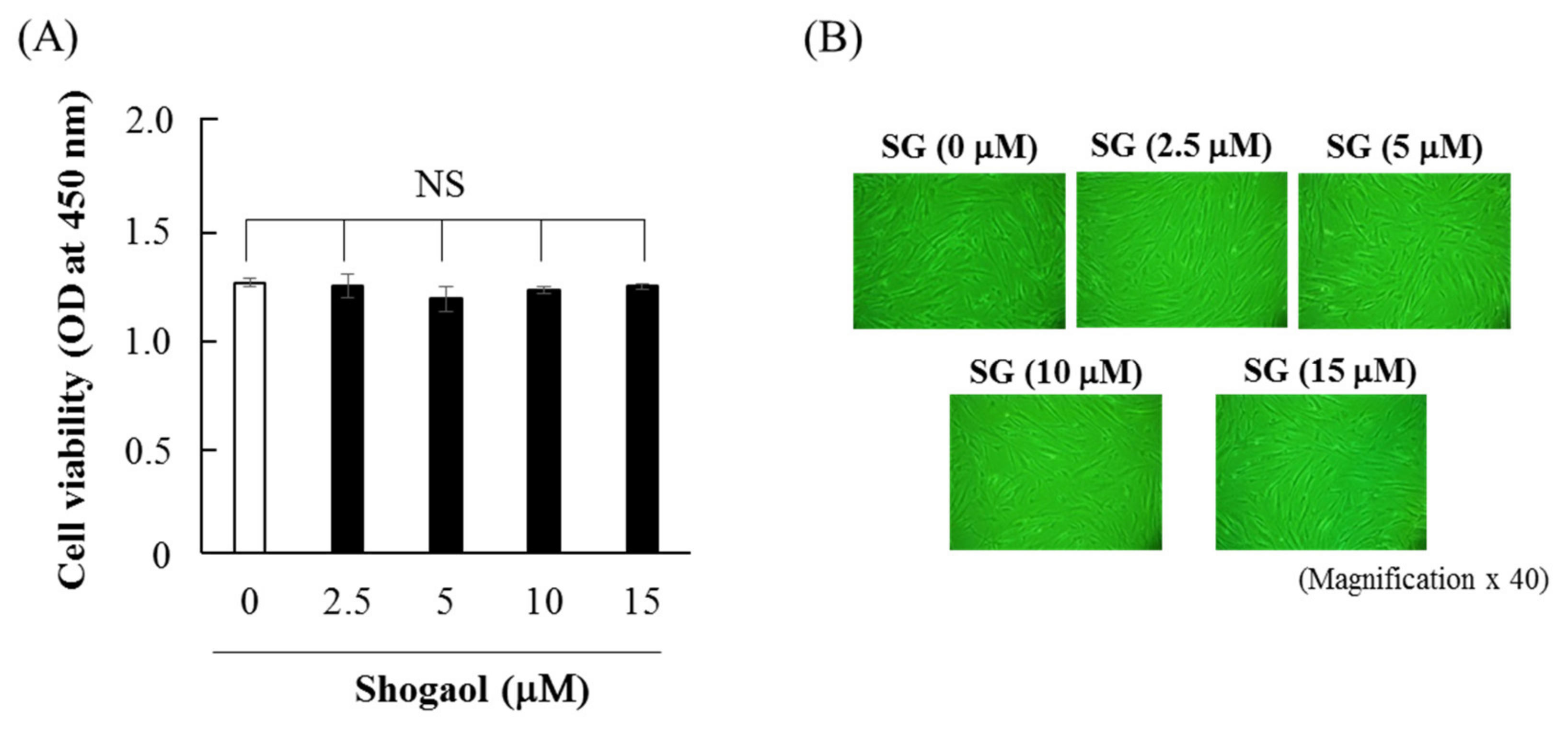 Molecules 24 03705 g001 Molecules 24 03705 g001