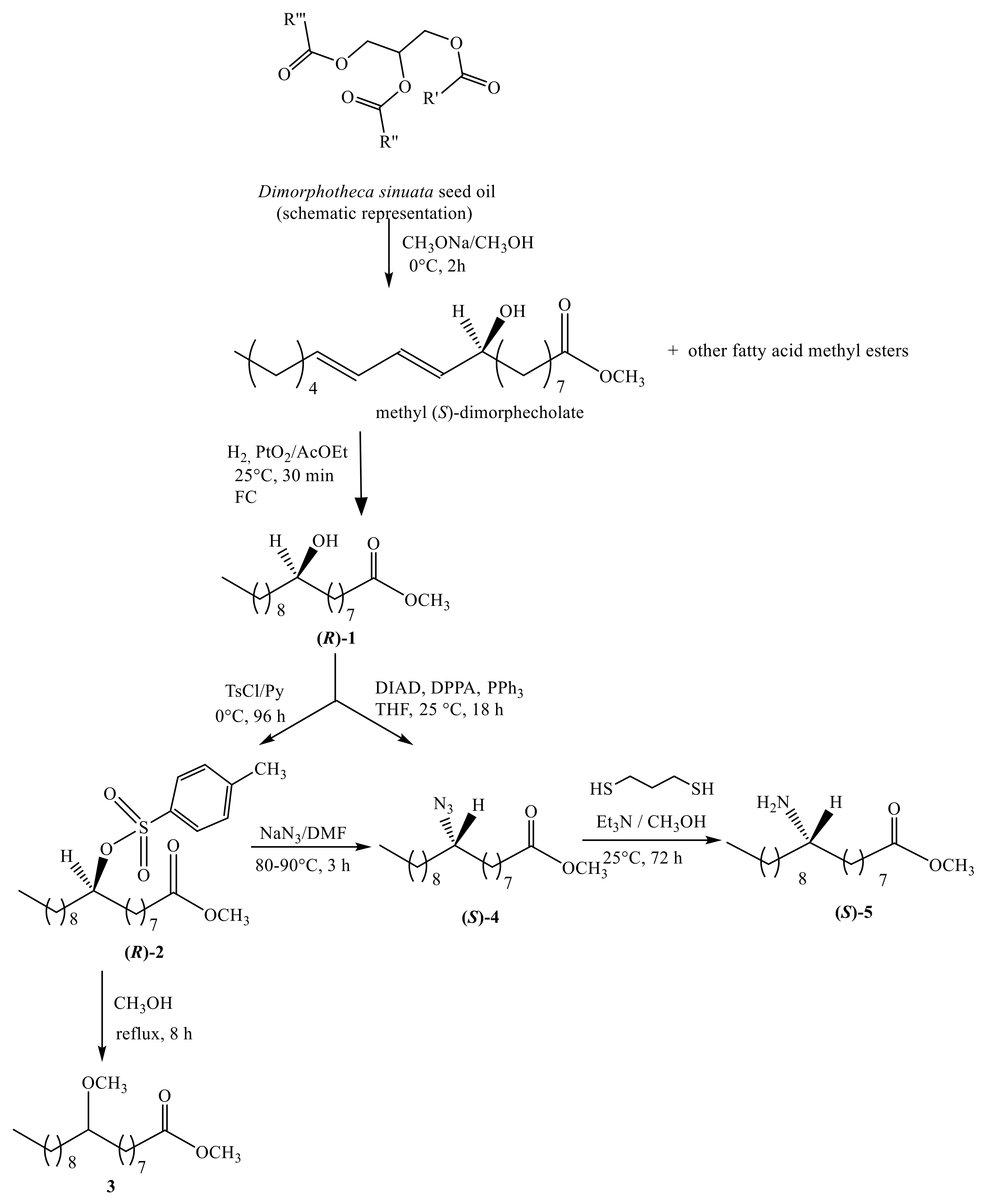 Molecules 24 03714 sch001