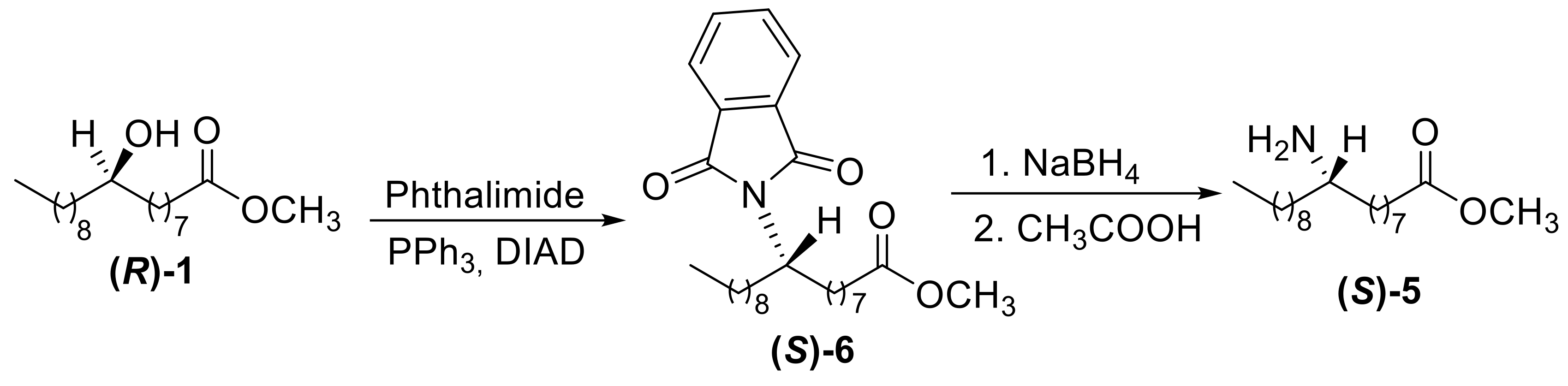 Molecules 24 03714 sch002