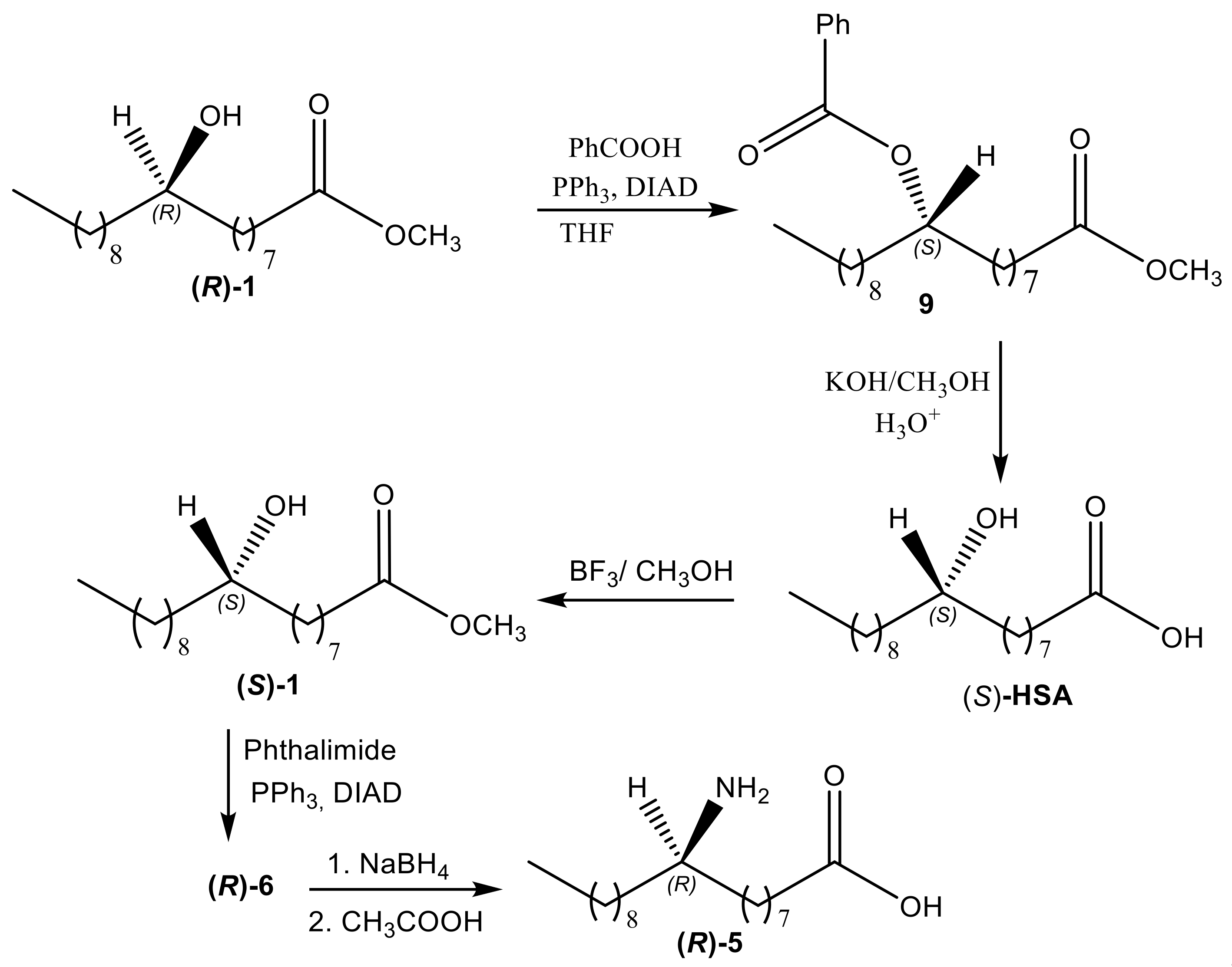 Molecules 24 03714 sch004