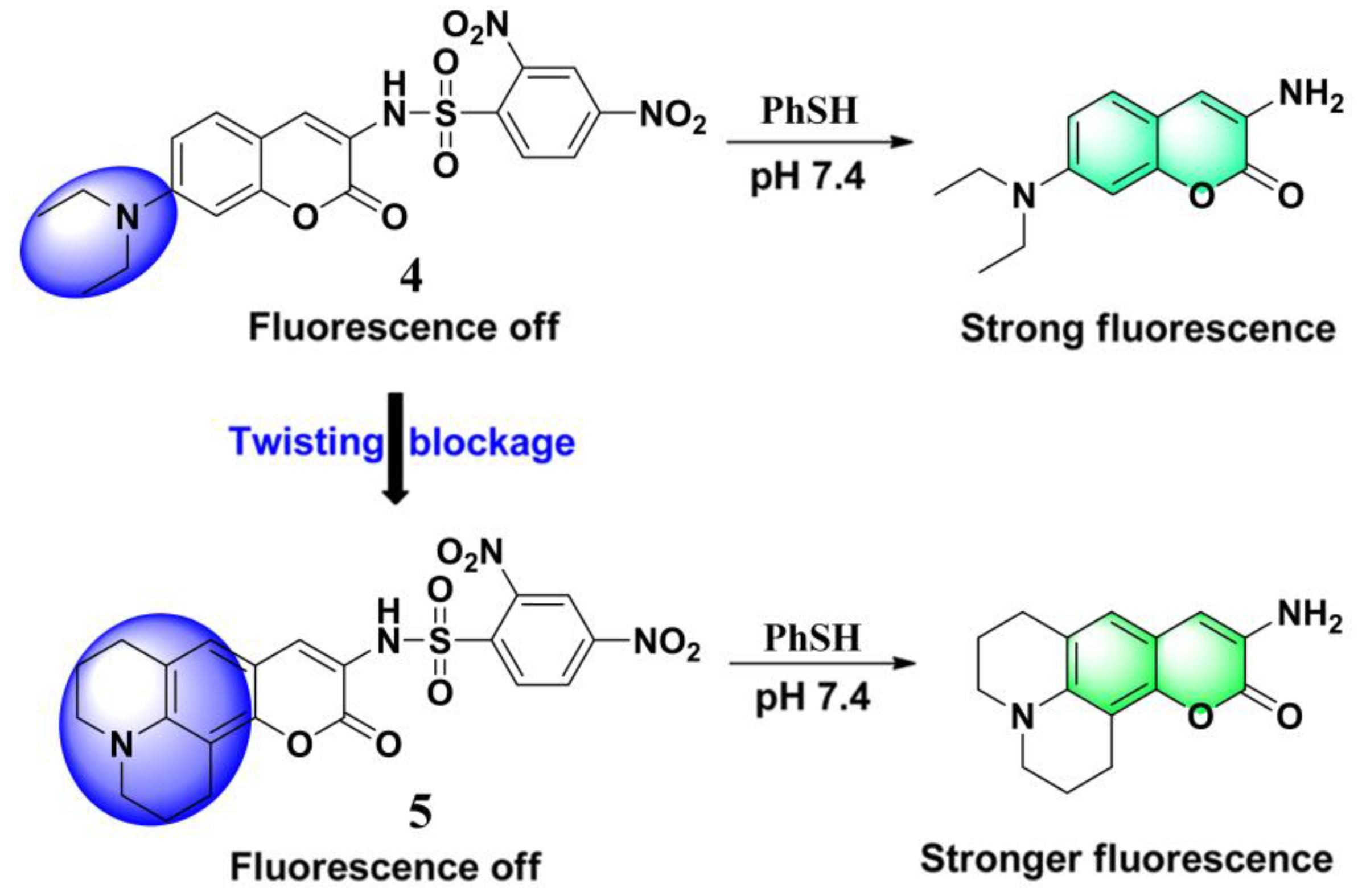 Molecules 24 03716 g003