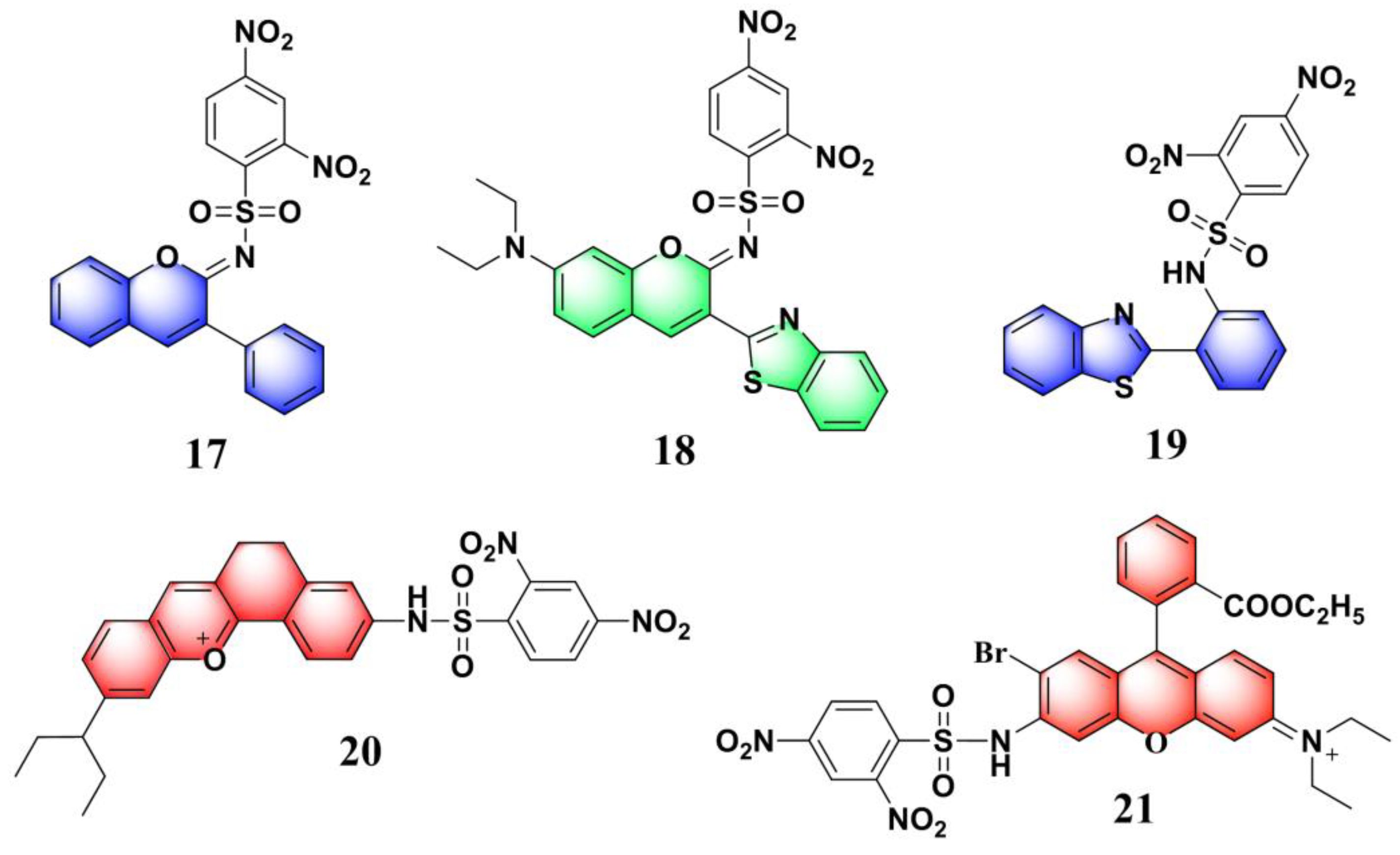 Molecules 24 03716 g008