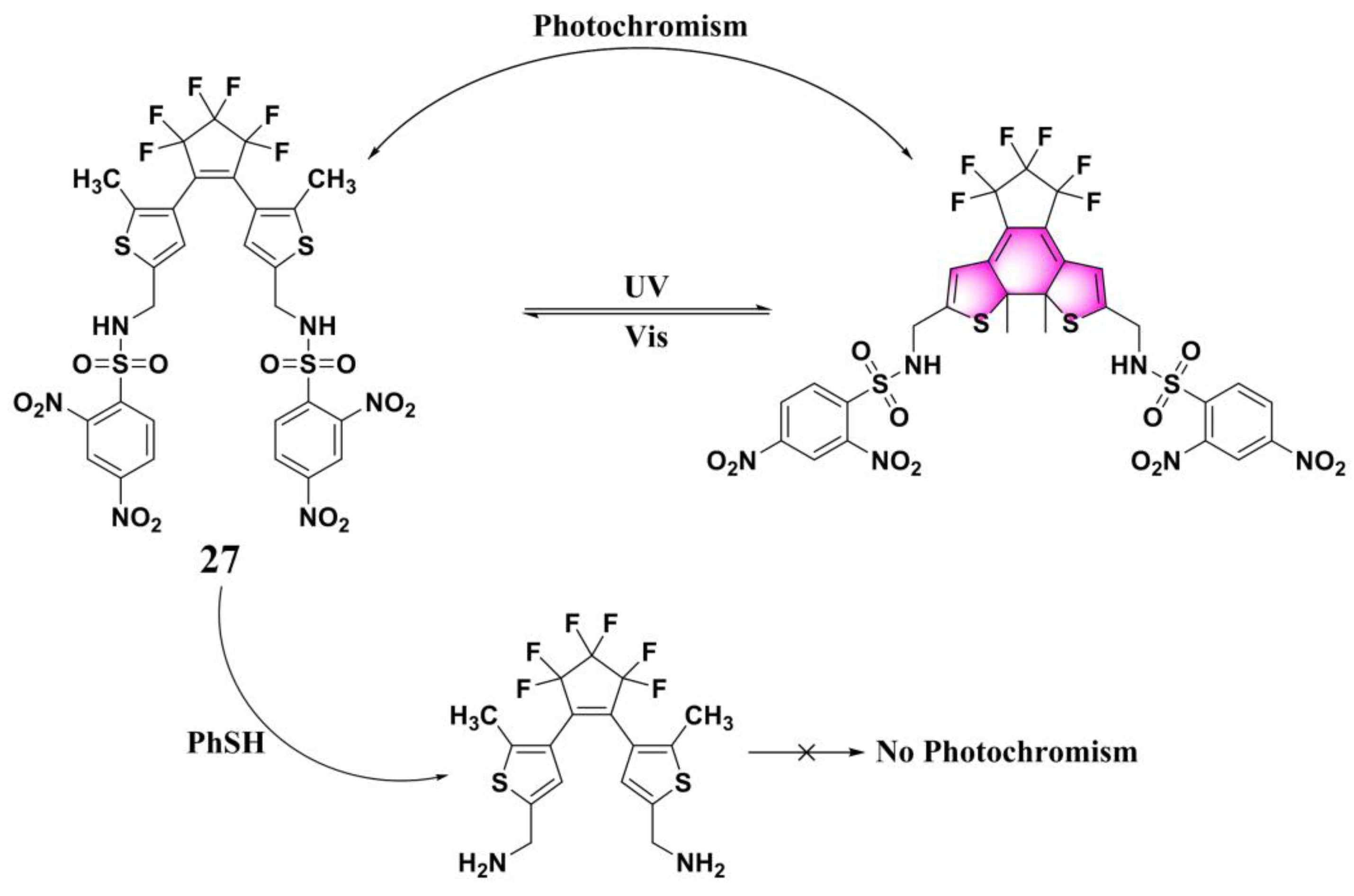 Molecules 24 03716 g011
