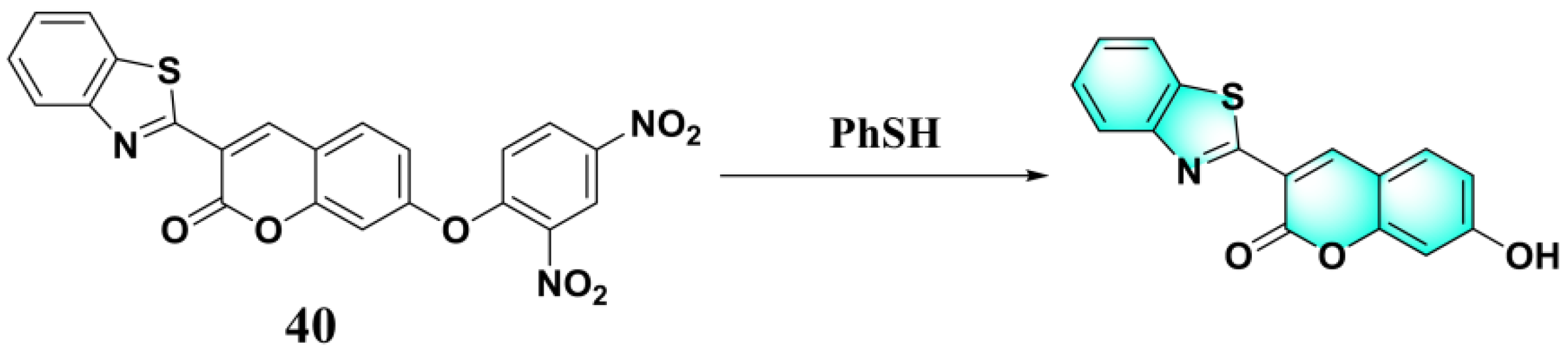 Molecules 24 03716 g016