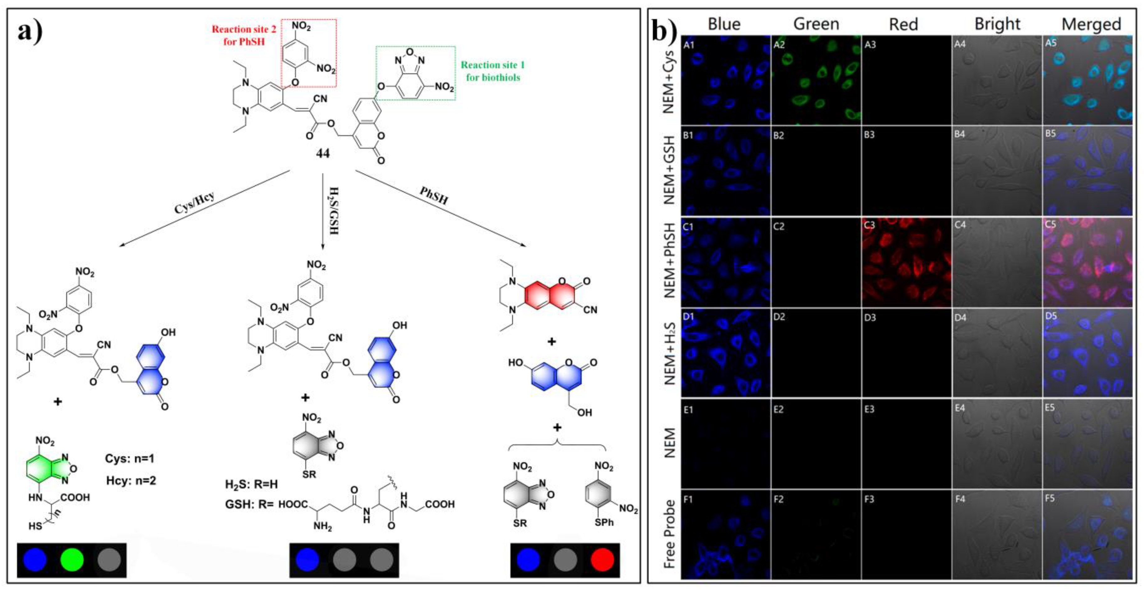 Molecules 24 03716 g019