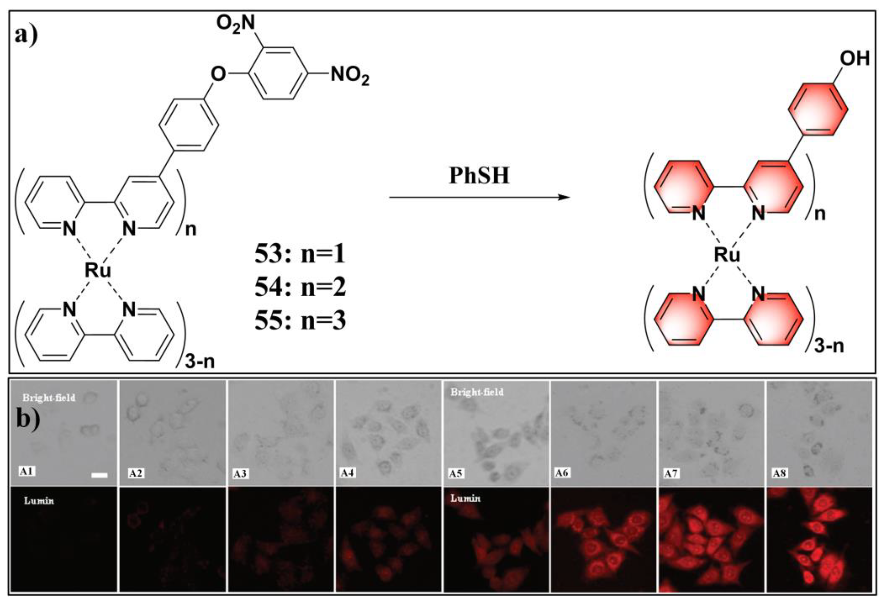 Molecules 24 03716 g022