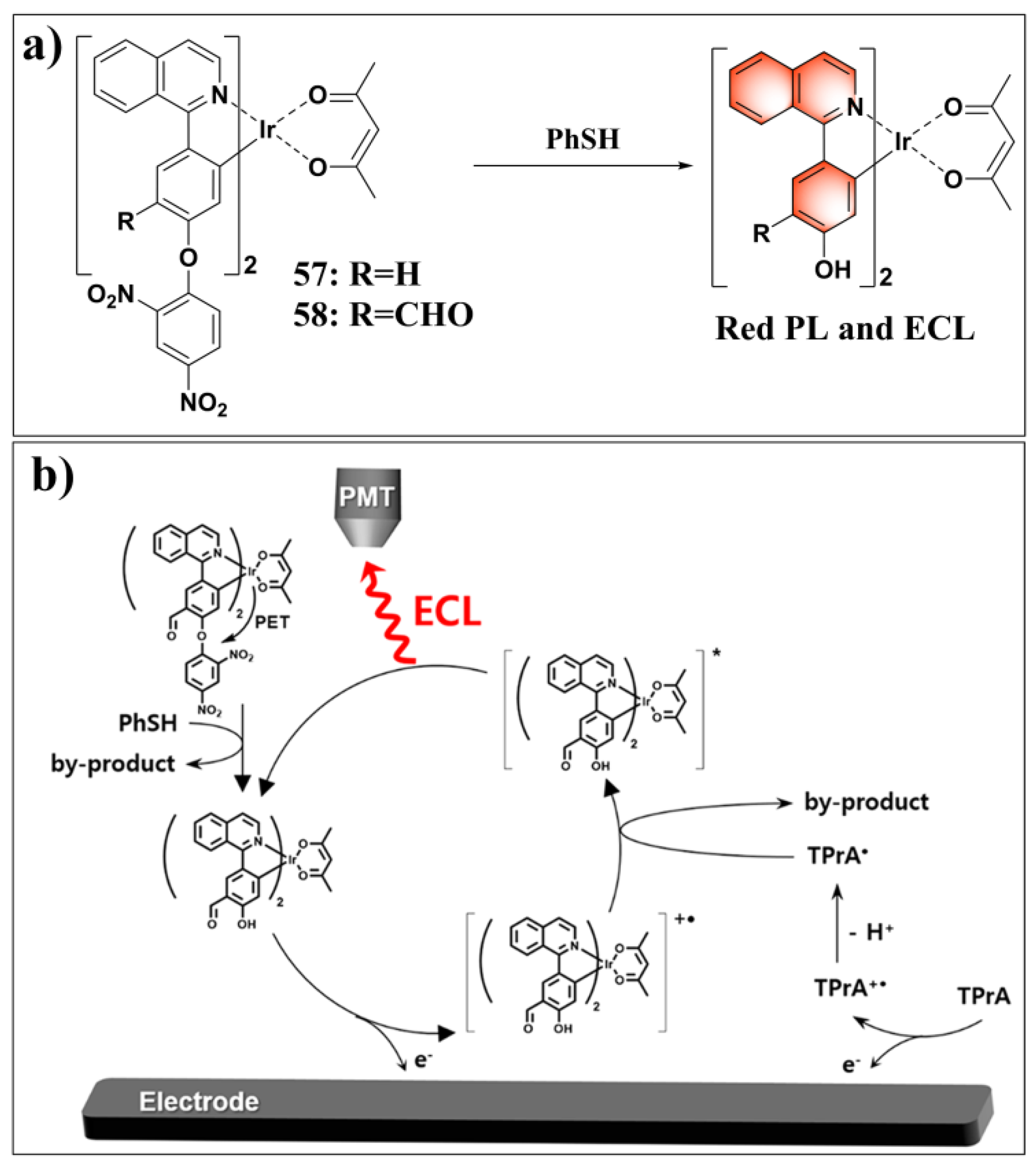 Molecules 24 03716 g024