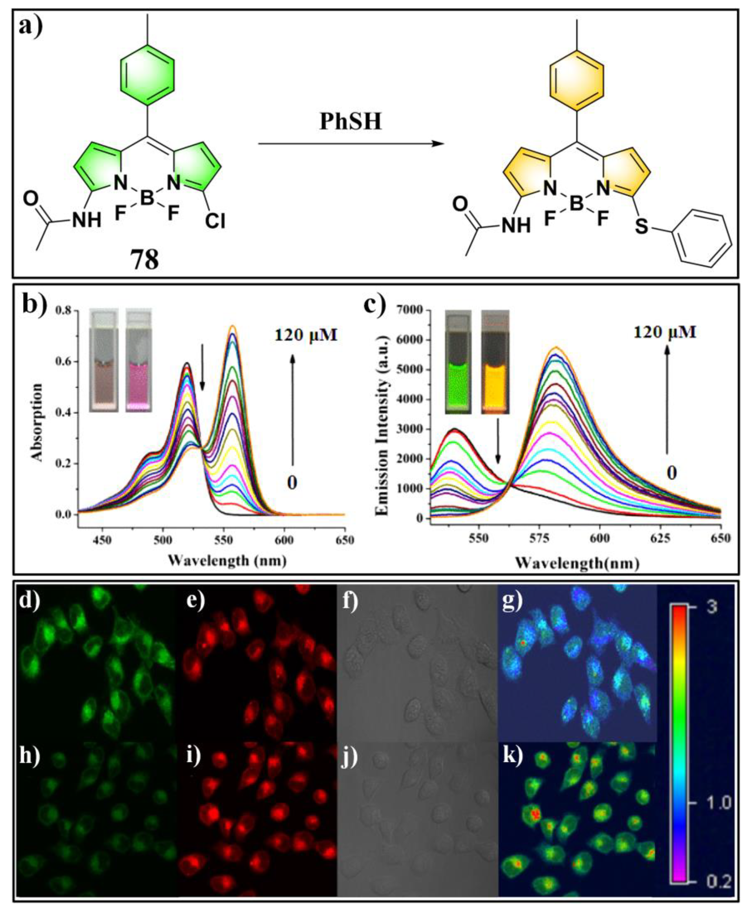 Molecules 24 03716 g028